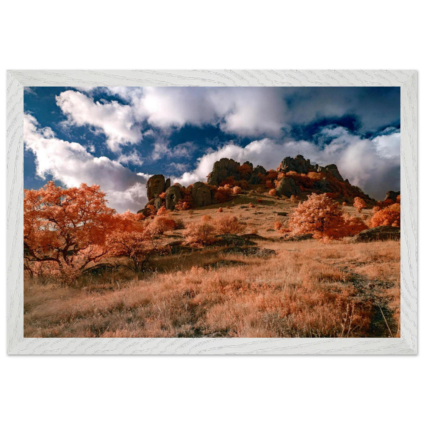 c4937723-354f-4b5c-af9b-2ad12d2c4d12