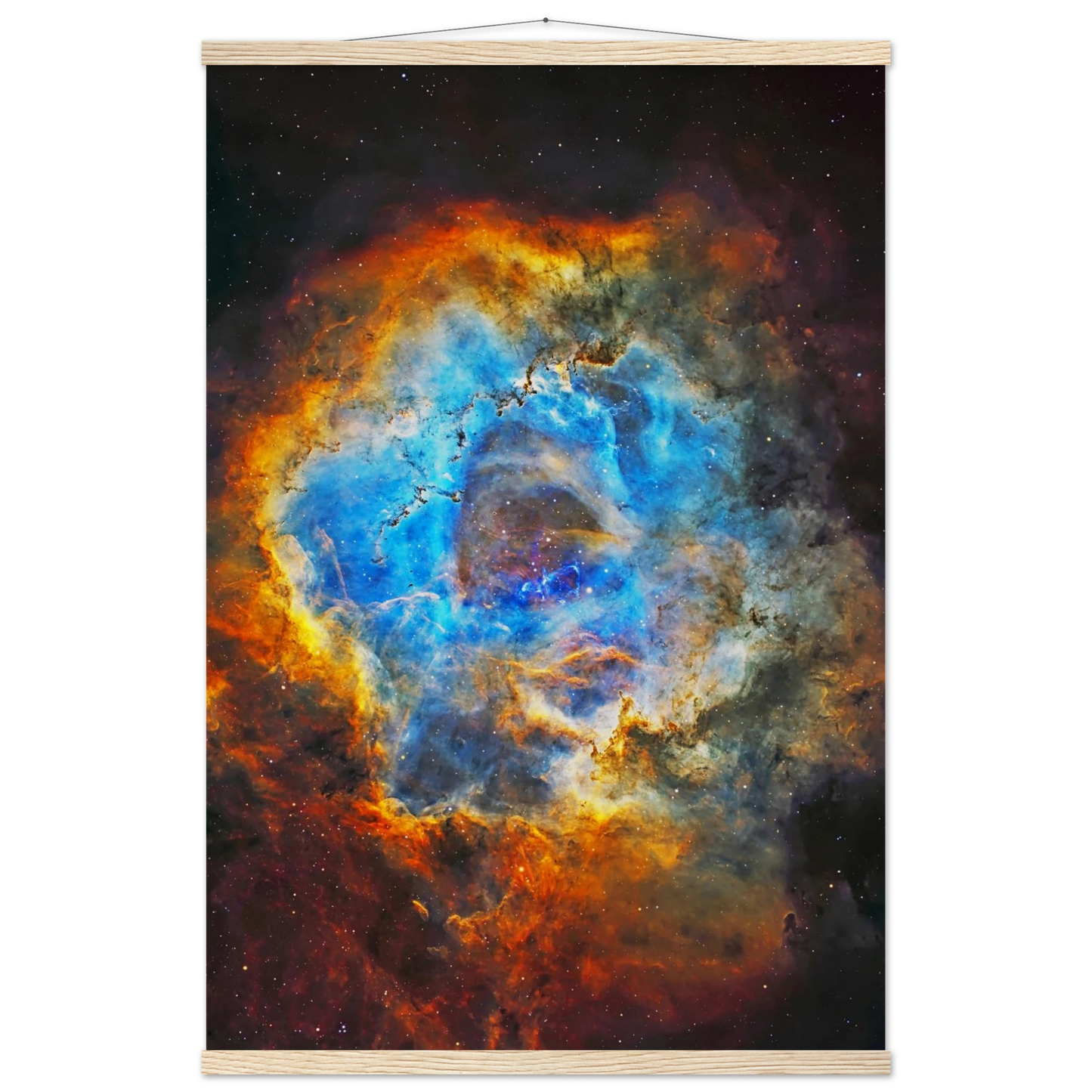 c5016d8f-0aee-42fd-8910-84d1c9ef418a