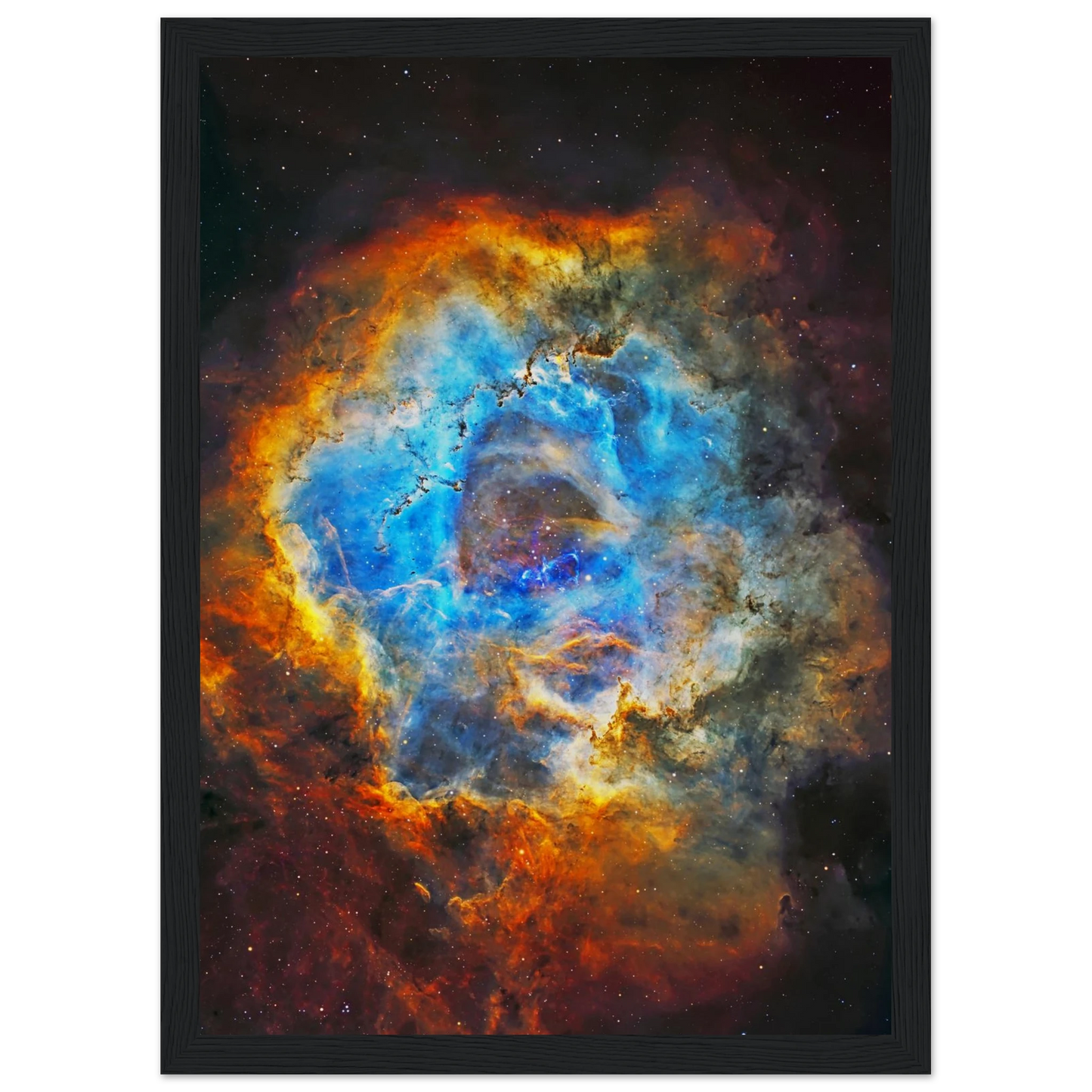 c51e3005-8c48-4d26-b33b-1bea7709f5b7