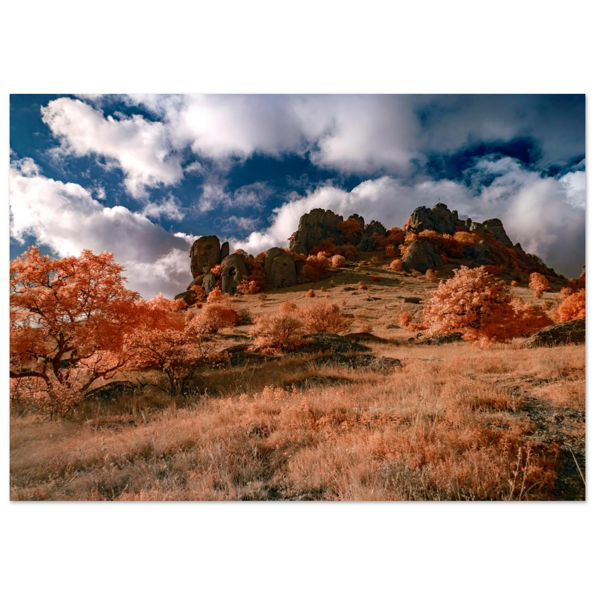 c5595746-17ae-47e9-b5e2-302d56bbeb22