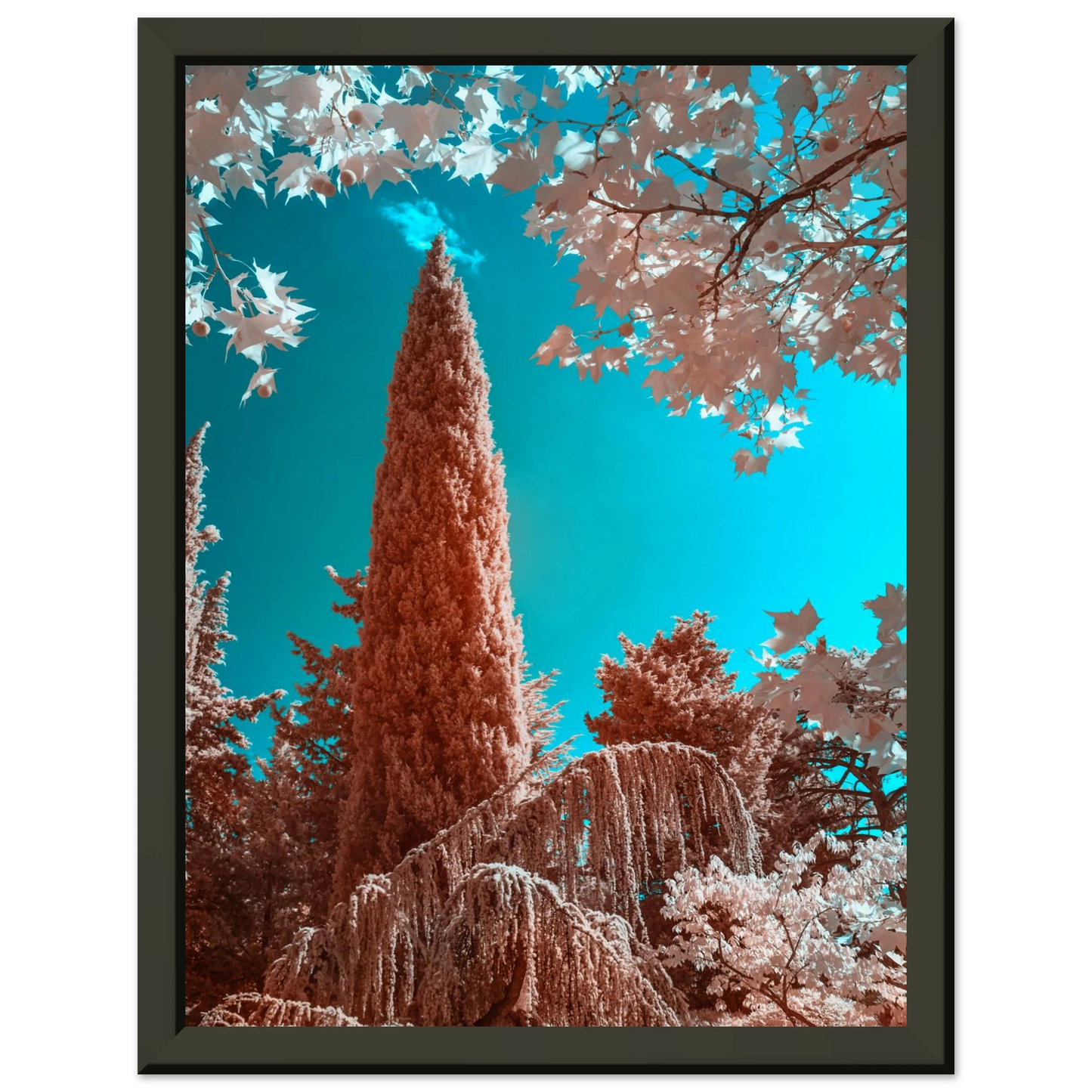 c59c8360-6d1c-4dbf-b324-b3462b4f27c8