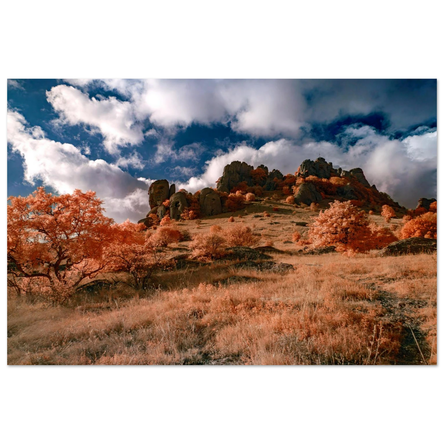 c6fa9075-a132-46ed-86fe-082611aba5f3