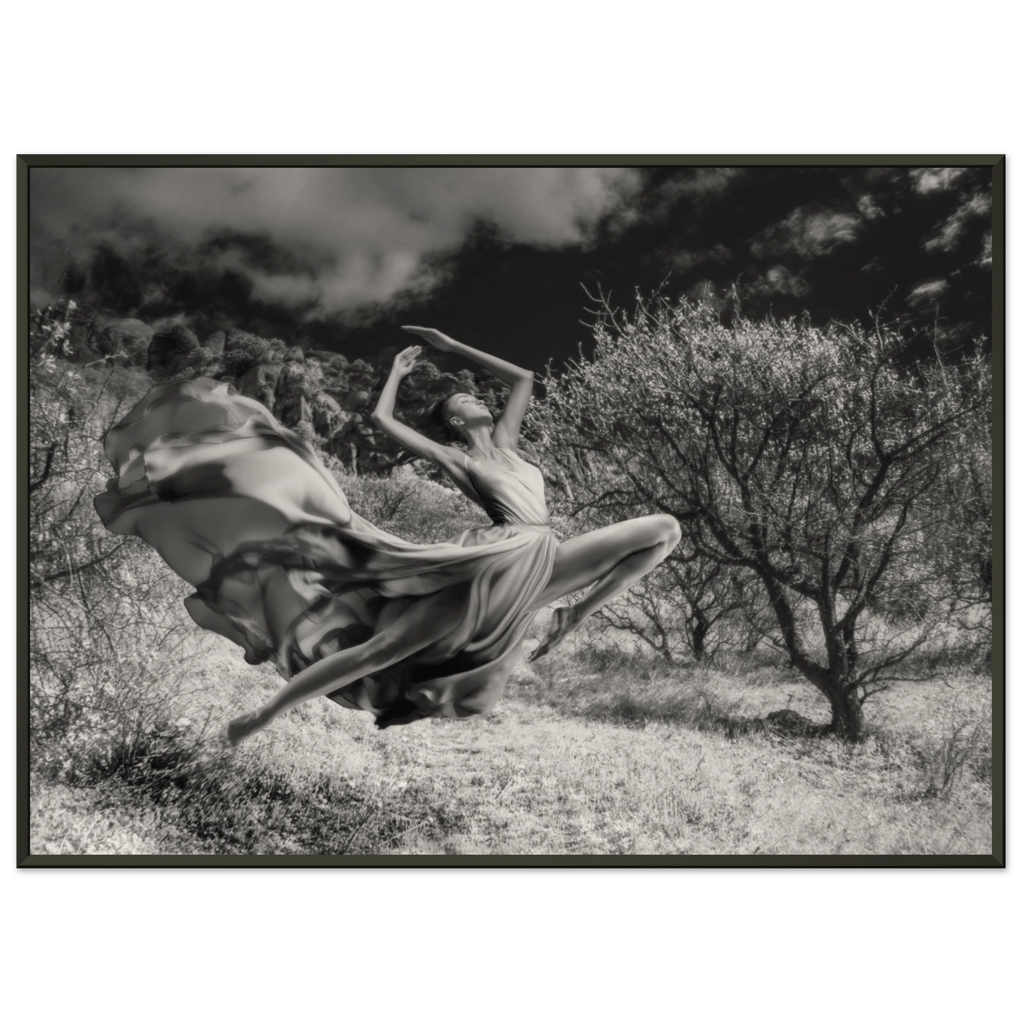 c748ec63-862b-4fb0-9027-a73d9e3bcec1