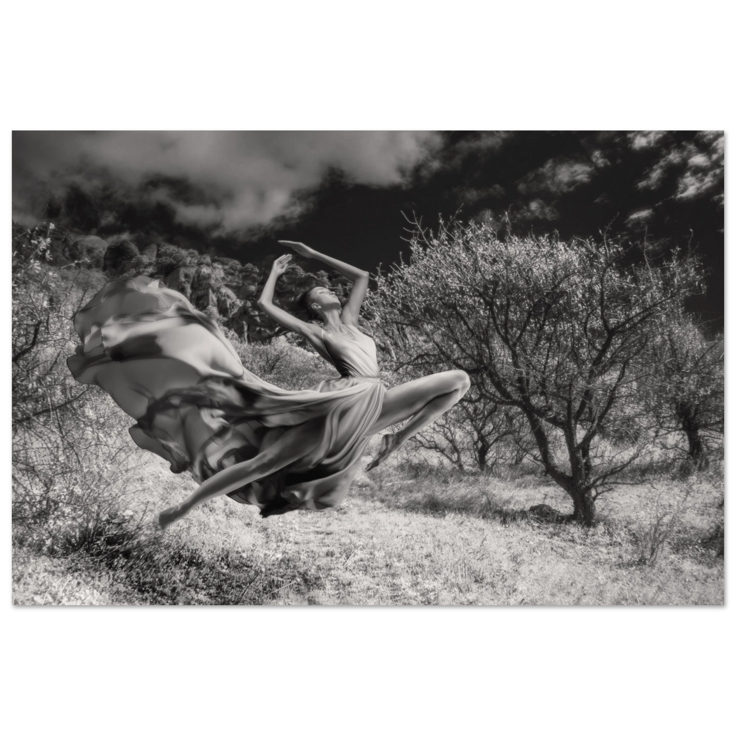 c8275c04-1342-4d4b-8f26-1f3491bebb0f