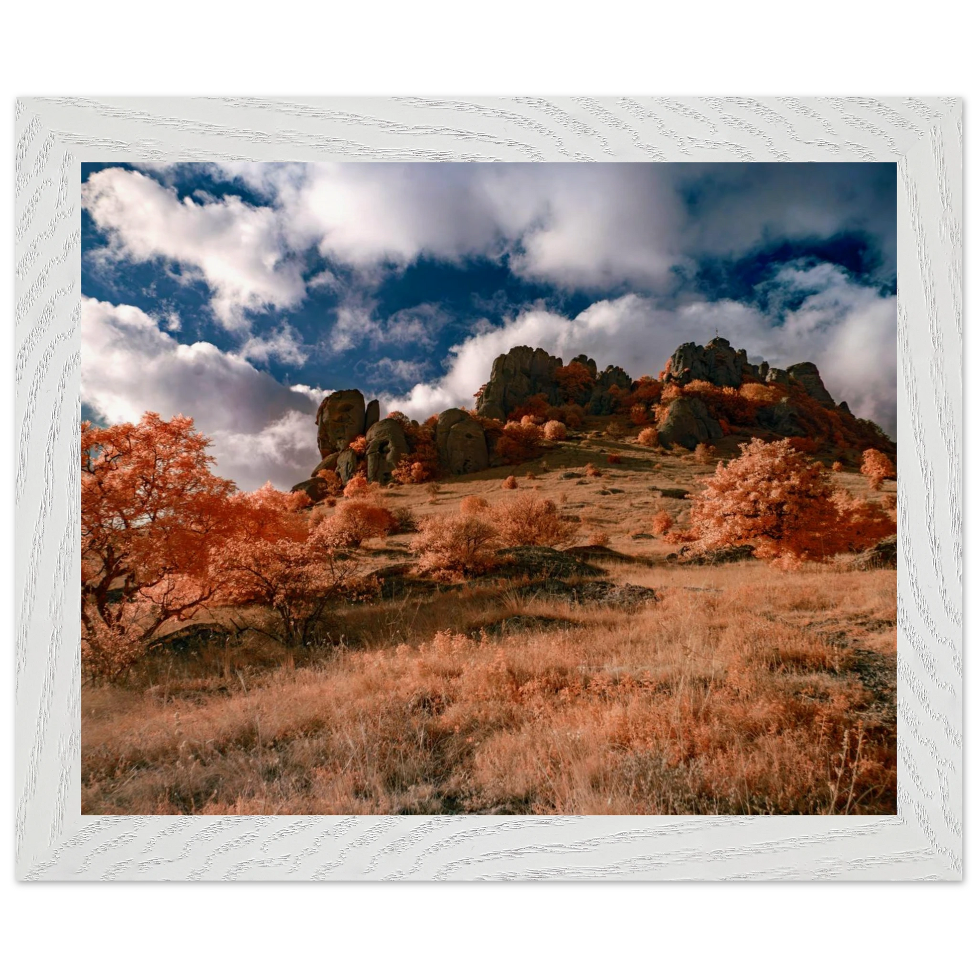 c97150b5-5677-4d3c-9786-78ce0c5360dc