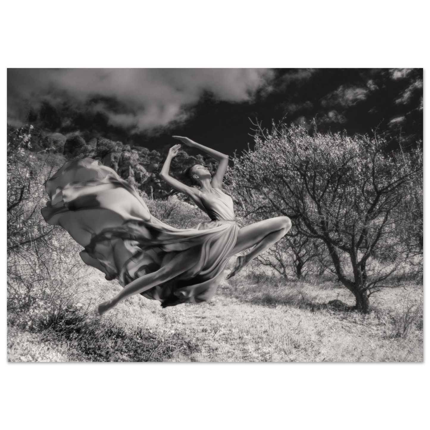 c9e2116f-624c-4992-ac93-4d2c6079fa30