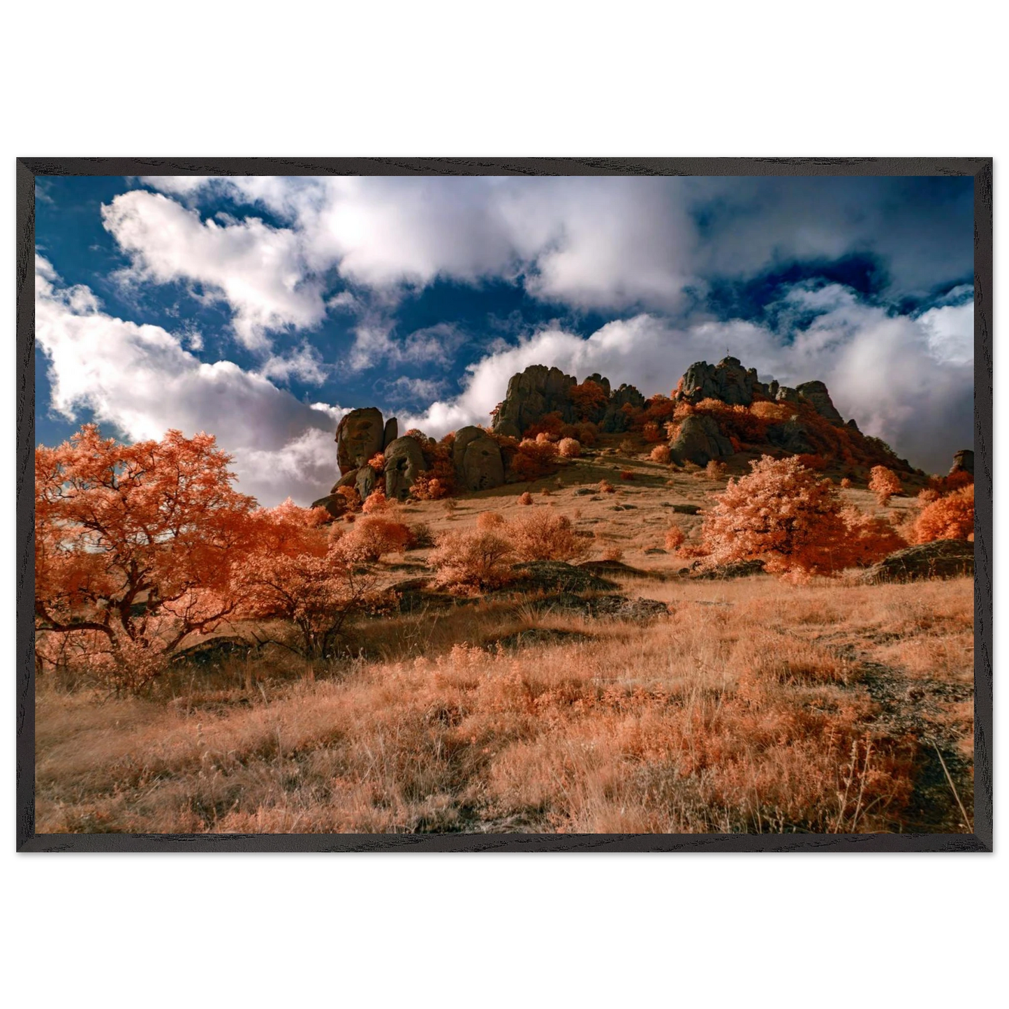 ca2b938a-200d-43be-8abb-fbedf7657602