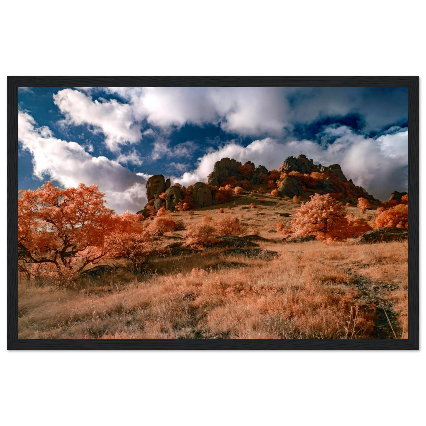 cb04a03c-cd07-4dc9-95cc-fcb21673f6ad