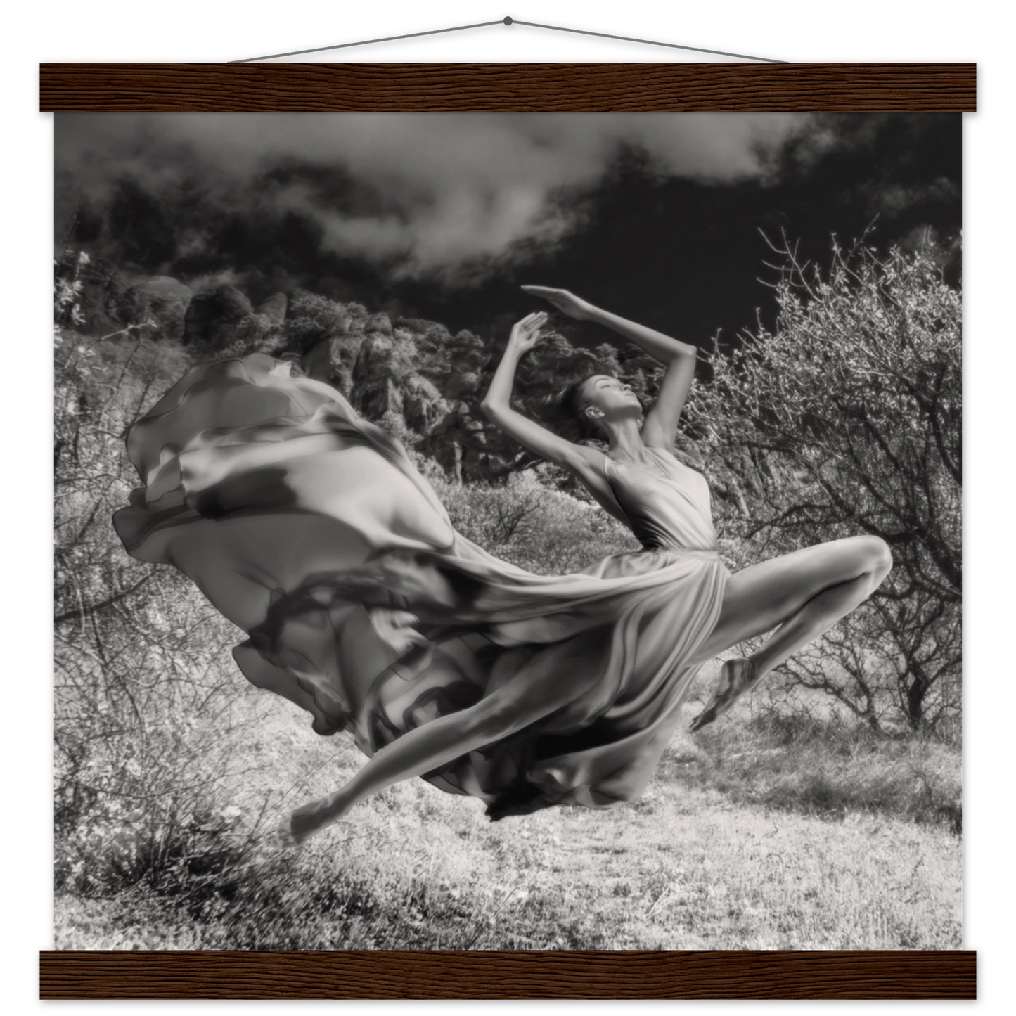 cc8d498c-78a1-4fb5-a36c-648361e7a0be