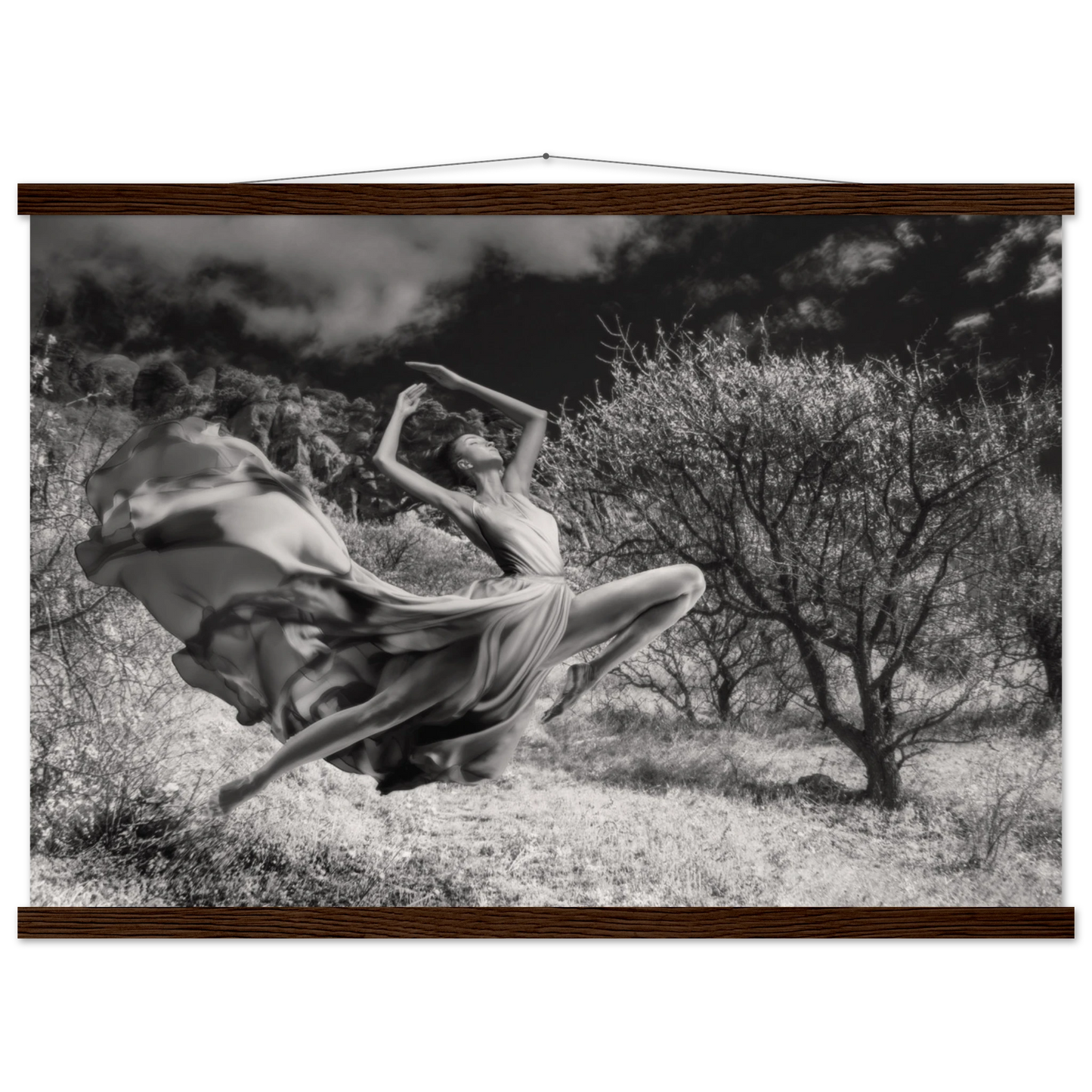 ccbd1c76-f196-4f60-a2f6-13d098bb25e1