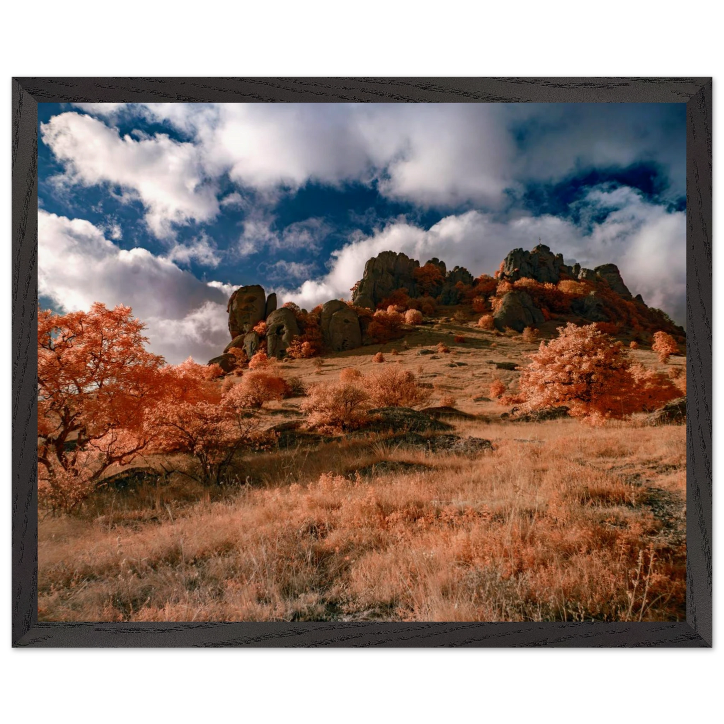 cdf30e3c-368c-4328-a0d5-89c89d02db71