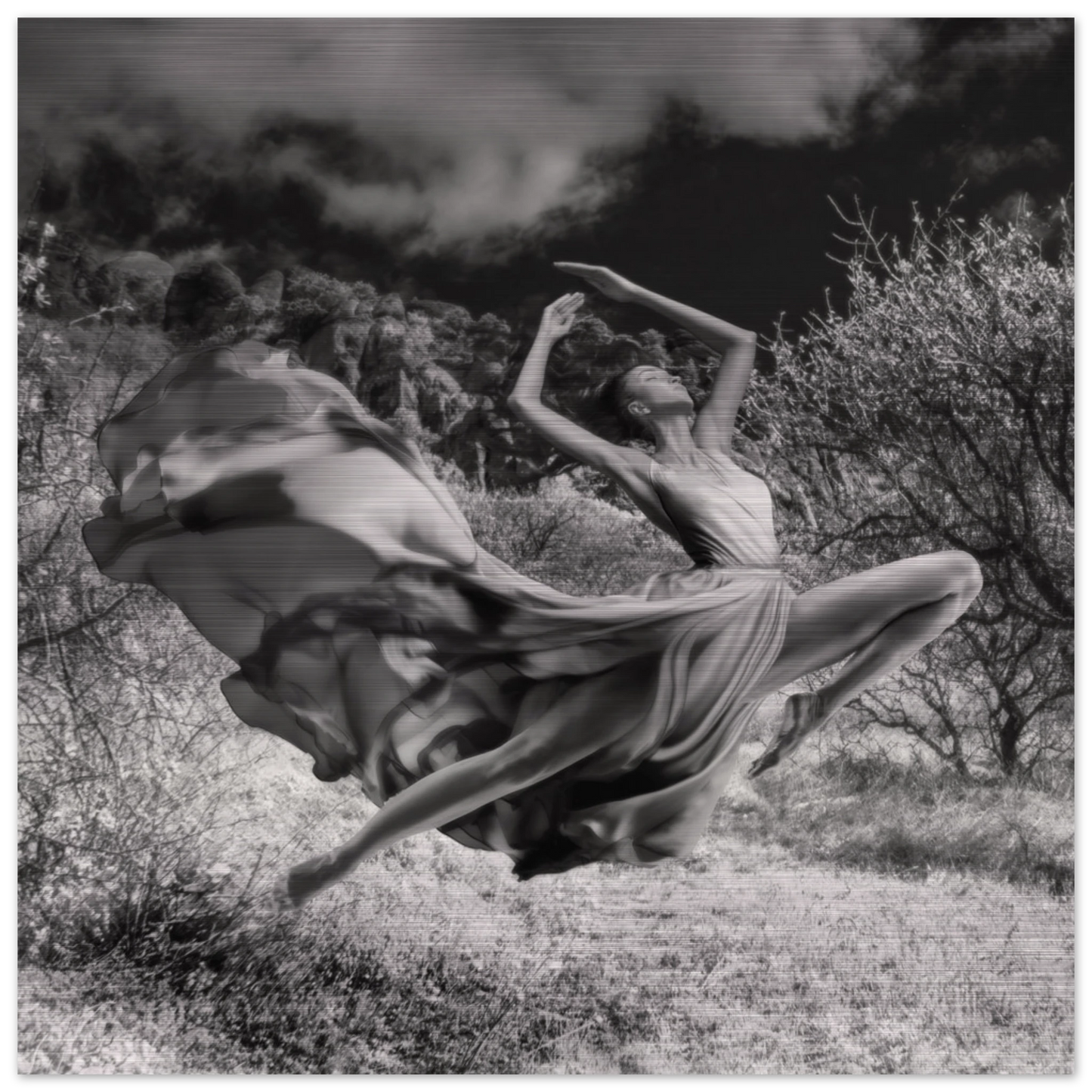 ce2a1e3f-7caa-4d00-b276-e197890b679f