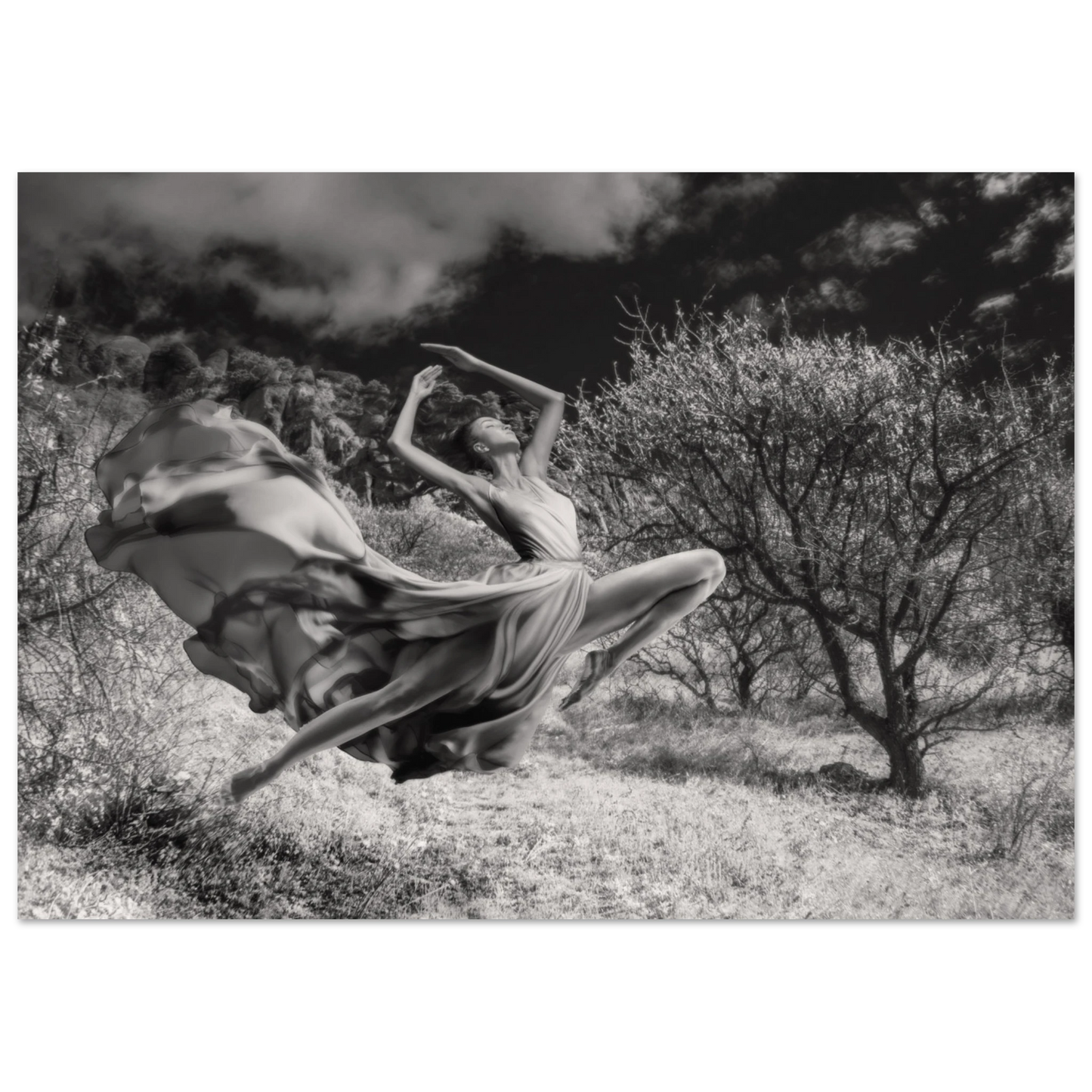 cef60802-8dc5-497e-9758-3bfdff3e0e40