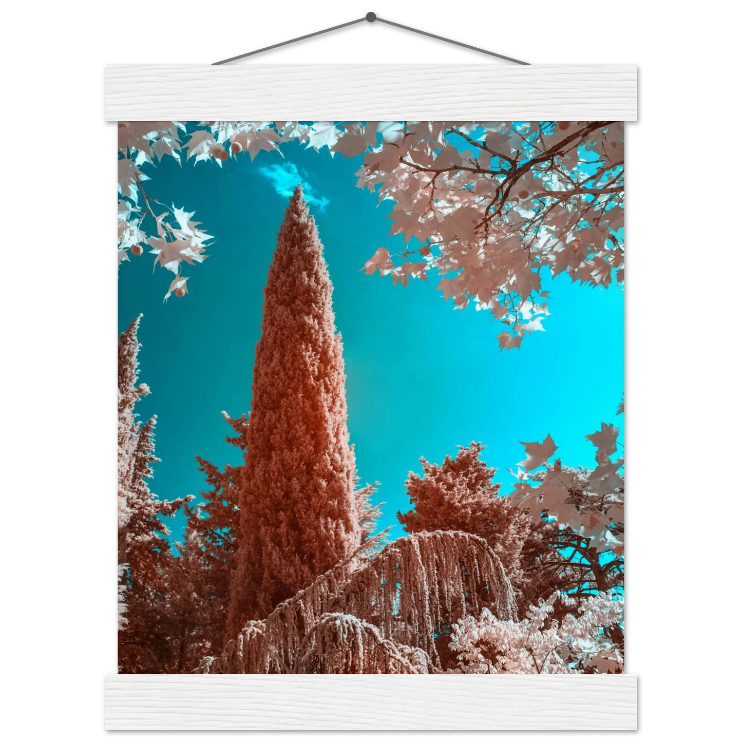 d05ce5e5-33d1-48af-aa2d-3e587c1409b3