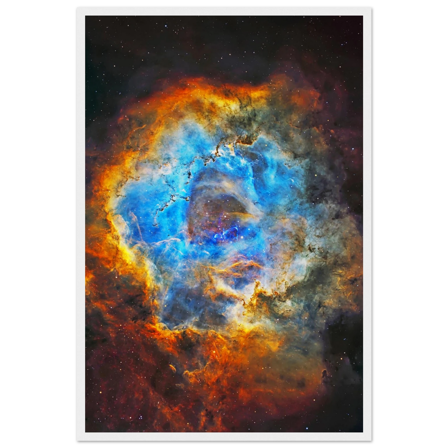 d081c055-c146-484d-b1bc-2cea3e1e17b8