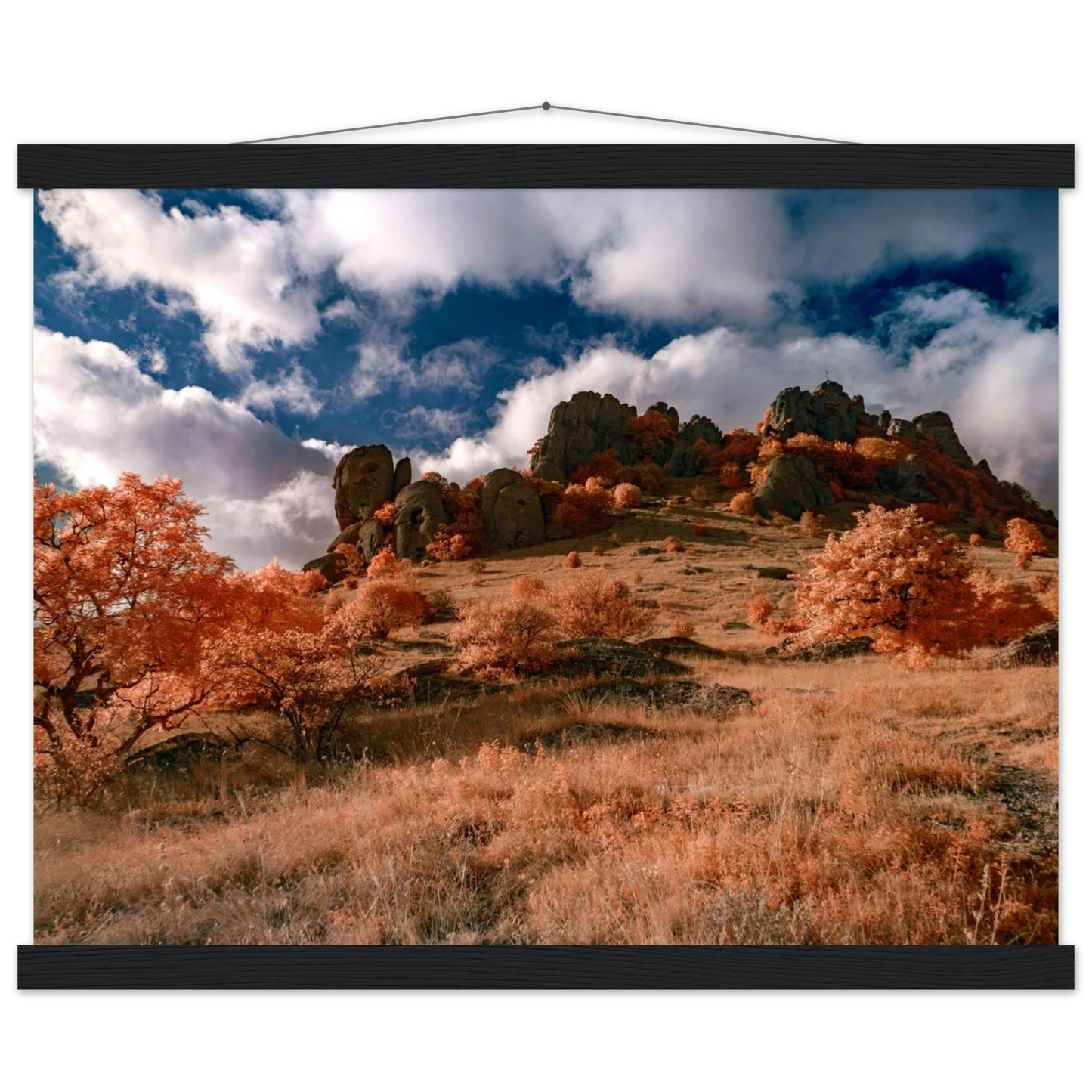 d0ce0873-e4a7-4dd7-a867-429010aa40de