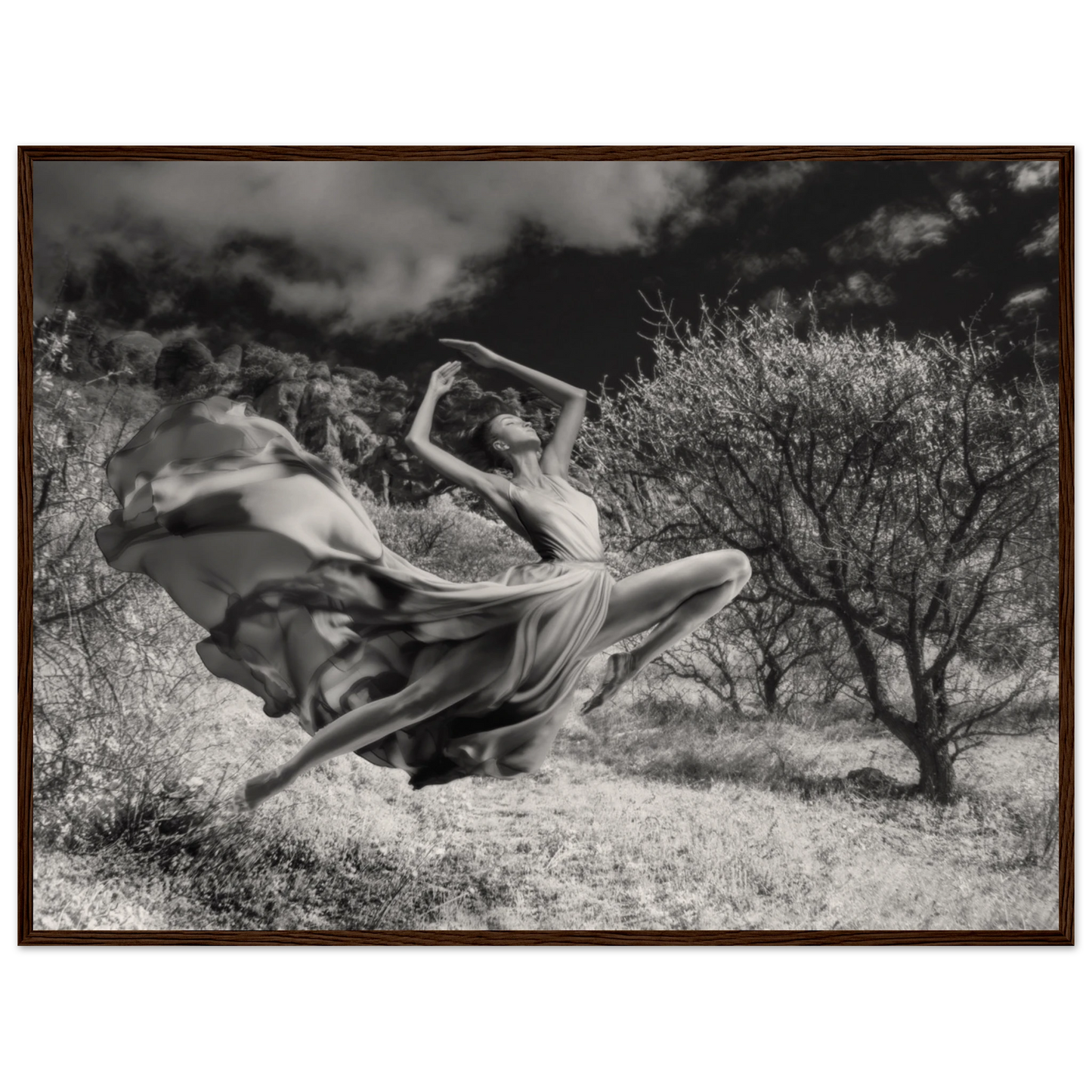 d2249ef6-140b-45a9-9fb9-e99a13429803