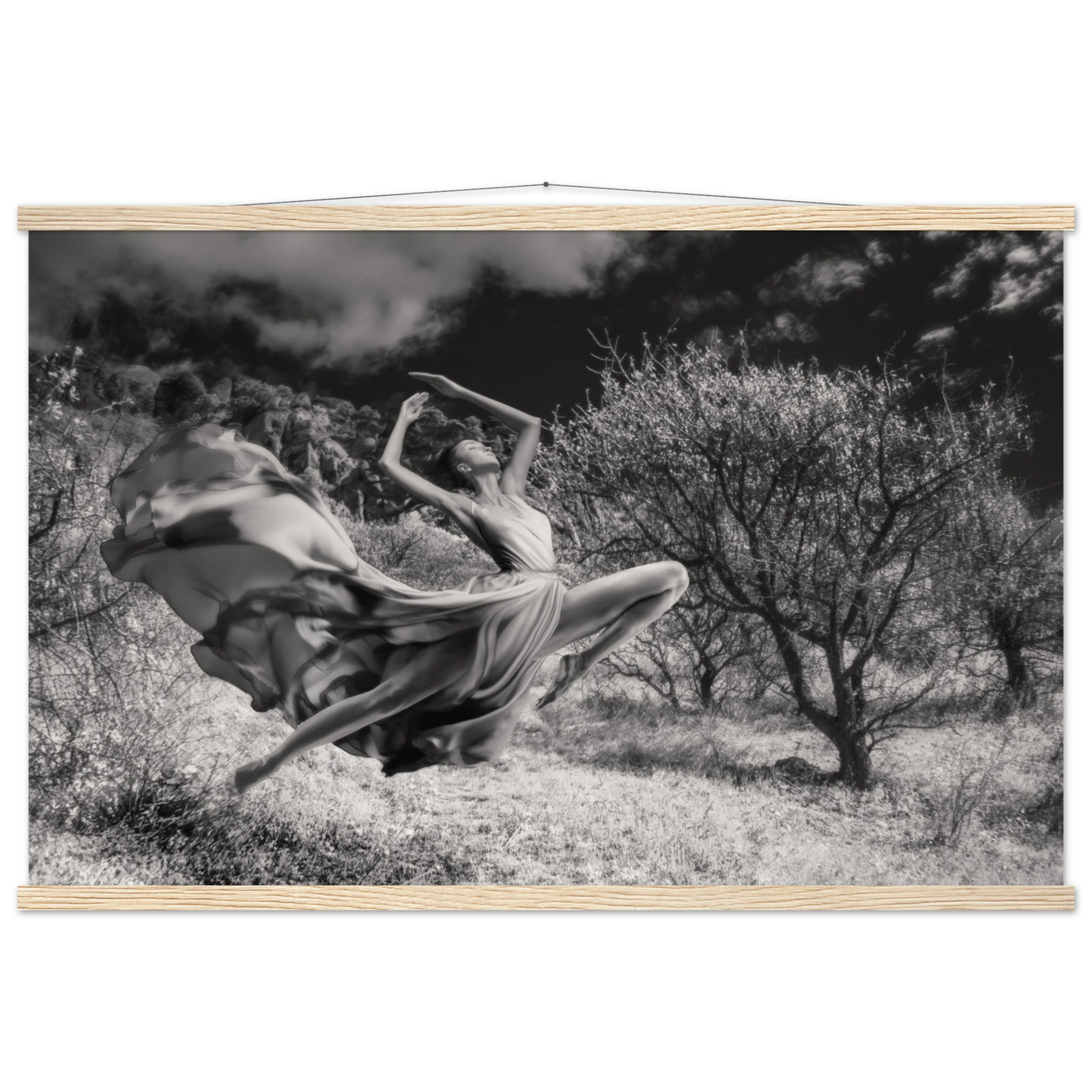 d22eba1f-7443-4e3d-a773-d725d2623bdc