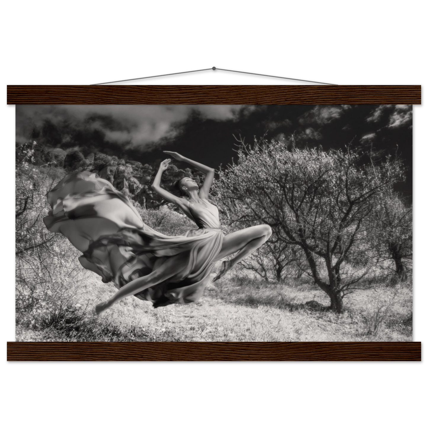 d27693d0-f73d-4334-8de0-6cbccc36b5a2