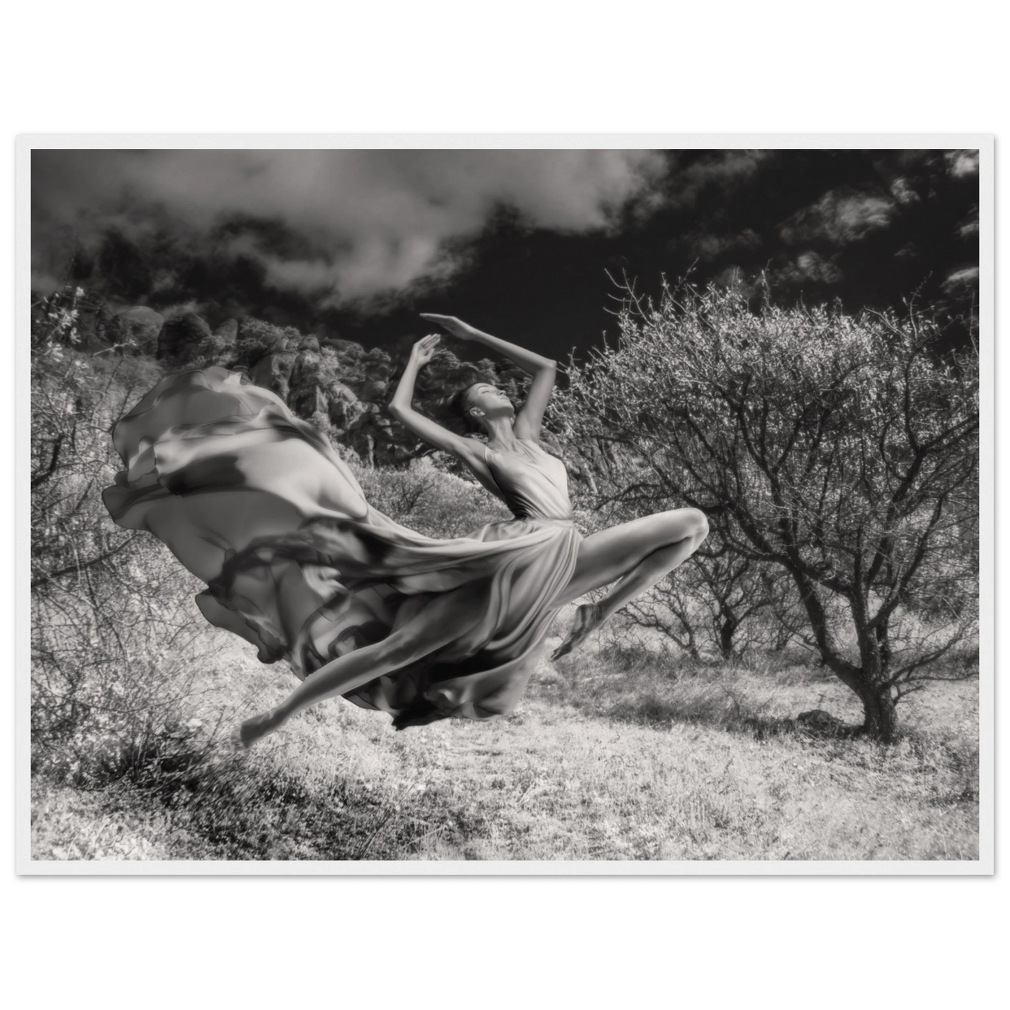 d2cf4f7d-62f5-4d89-8c93-d42c95e4095b