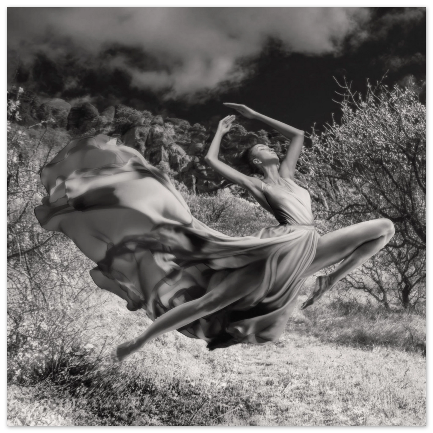 d38a975e-ec43-442e-a23a-7206a93bfaa4