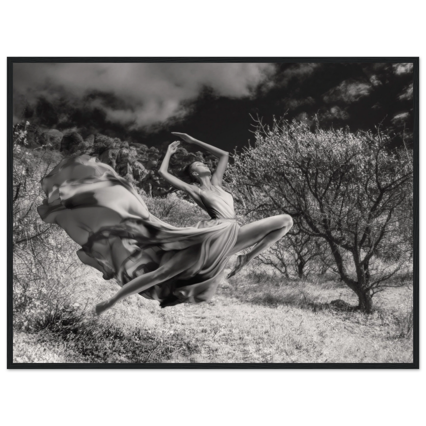 d3b46679-7349-47b1-a46a-6baaaac6b45b