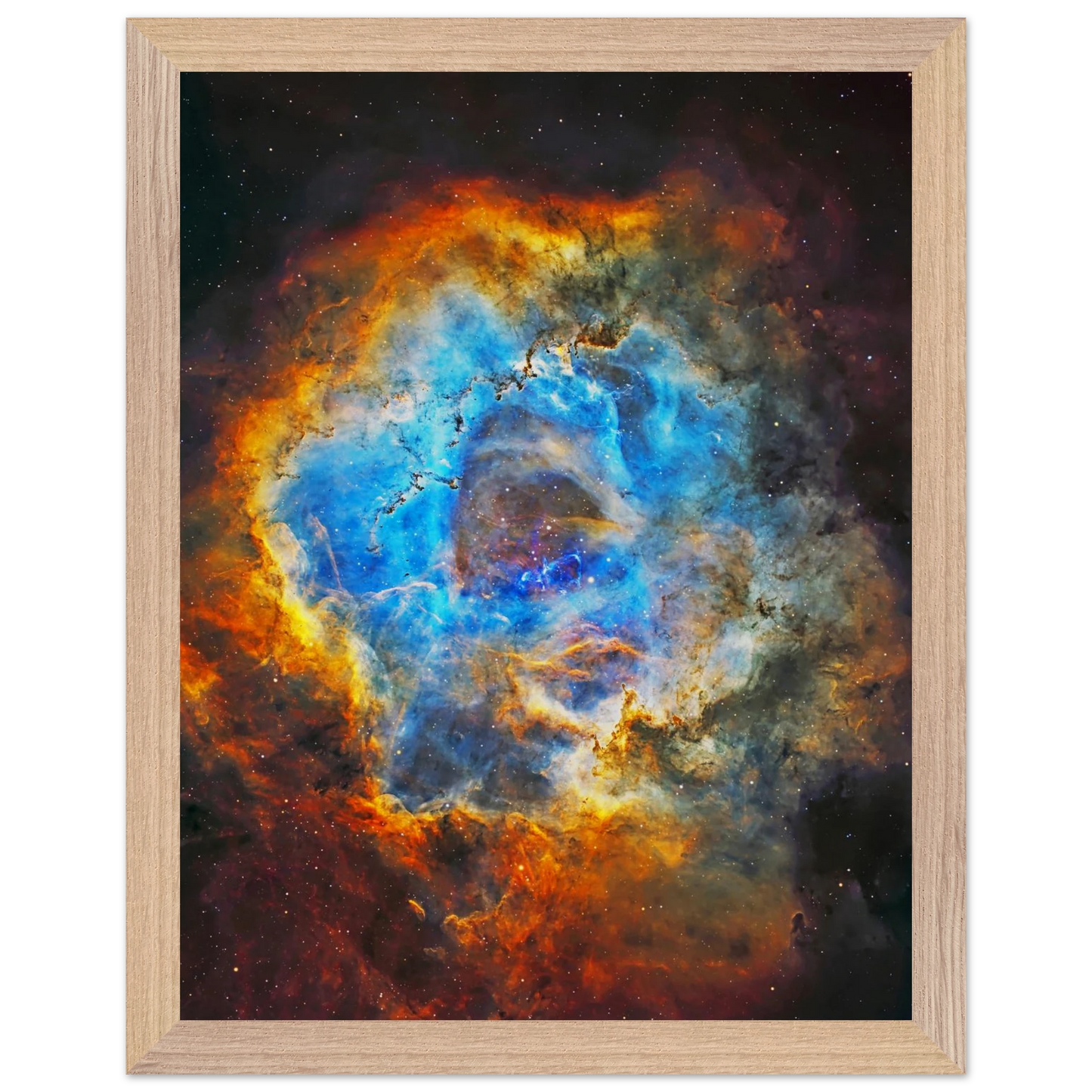 d4309262-4f32-4ffd-8f61-9559f19f614a