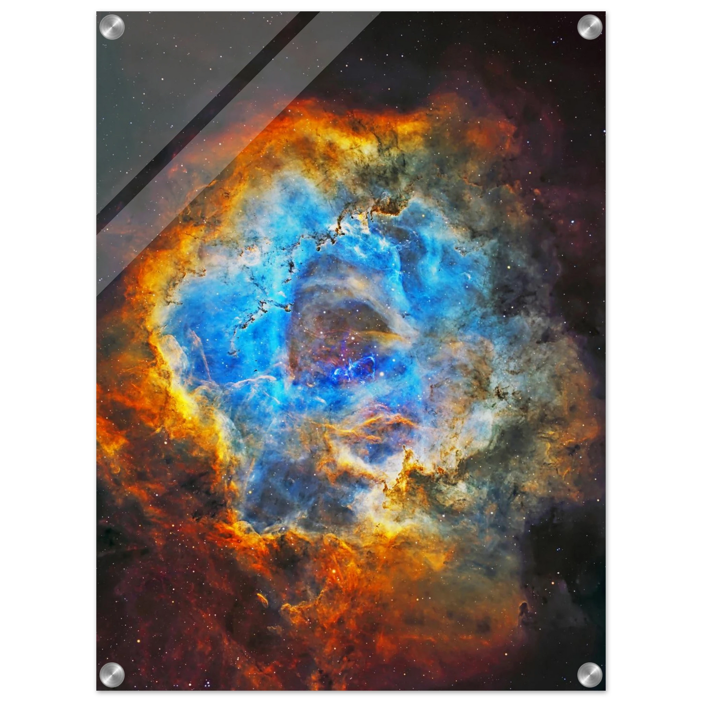 d5750be3-dddc-4edb-a78c-8dab3299f5d9