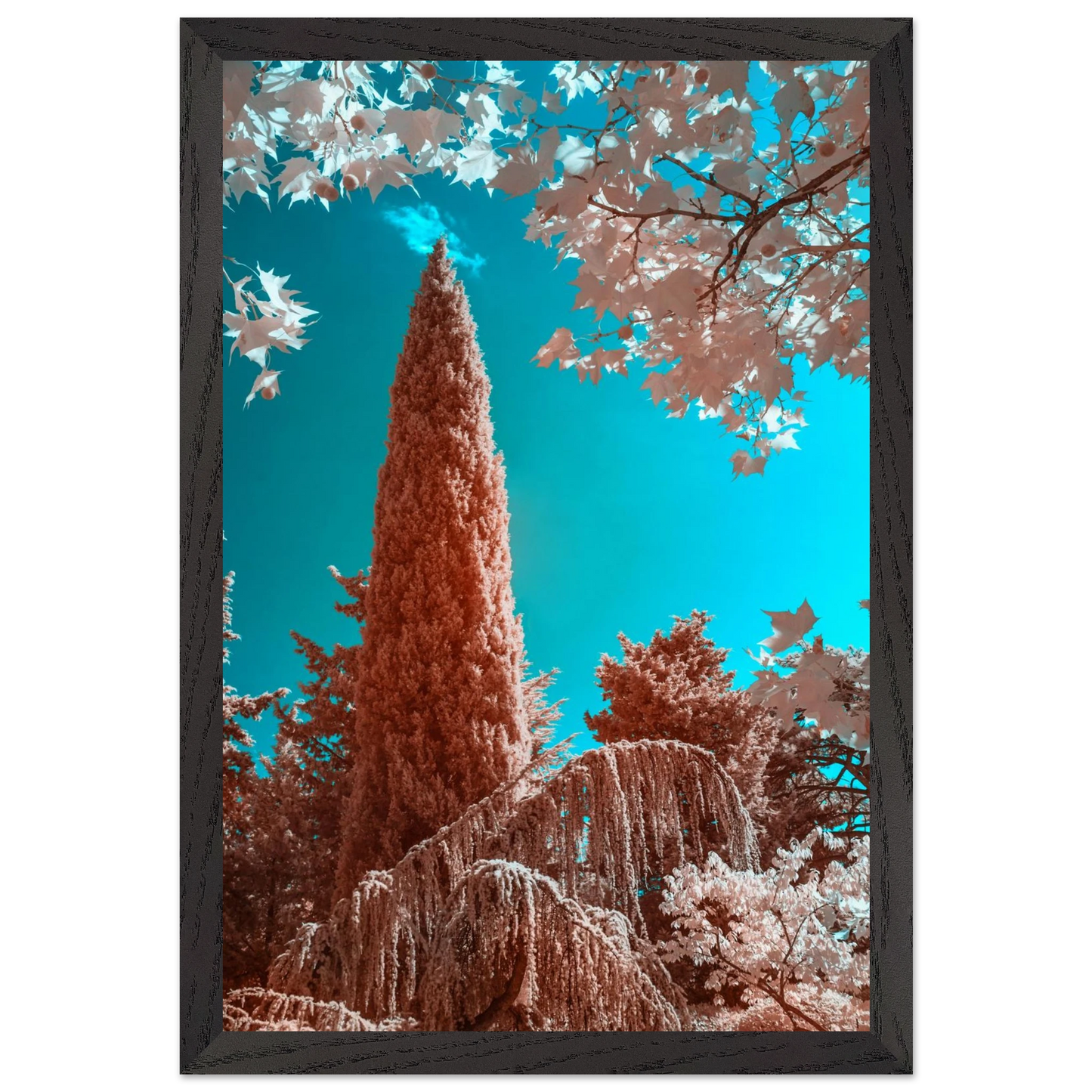 d57a14e3-f44c-4f4c-87f4-d4941a7724e5