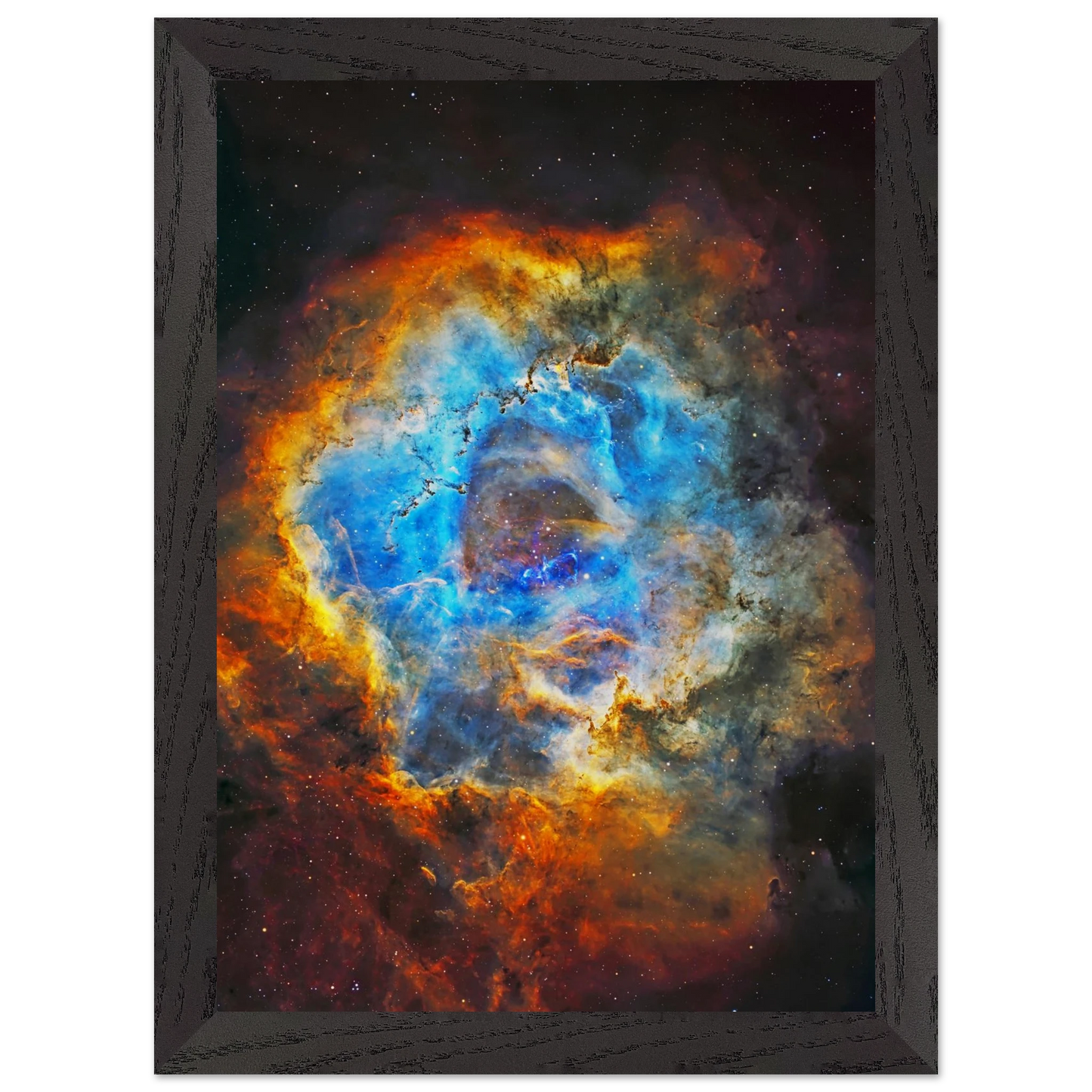 d5973f0c-65ac-4450-834c-f645e978c3ae