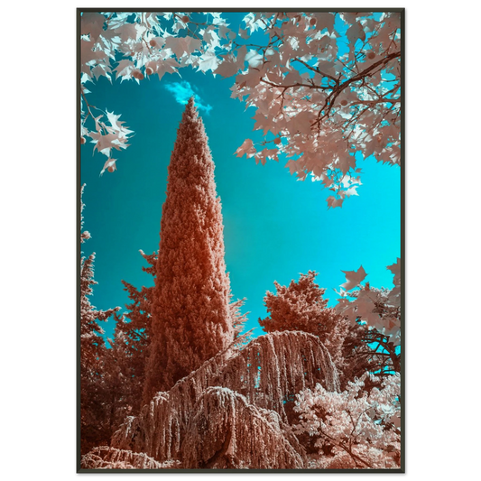 d6376471-43c3-4732-b69f-5473c5a00005