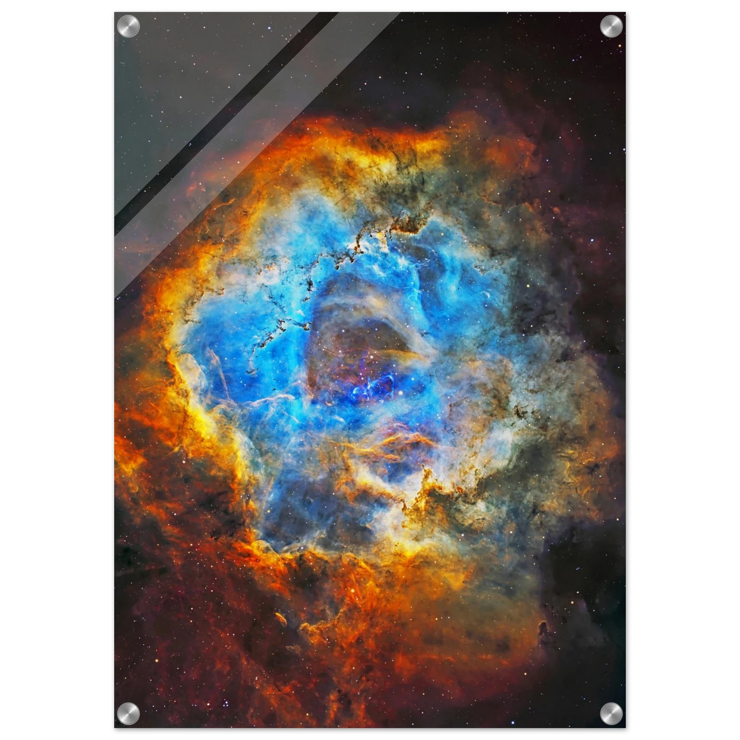 d7608d8f-11fb-4c09-a93e-6060244d76f5