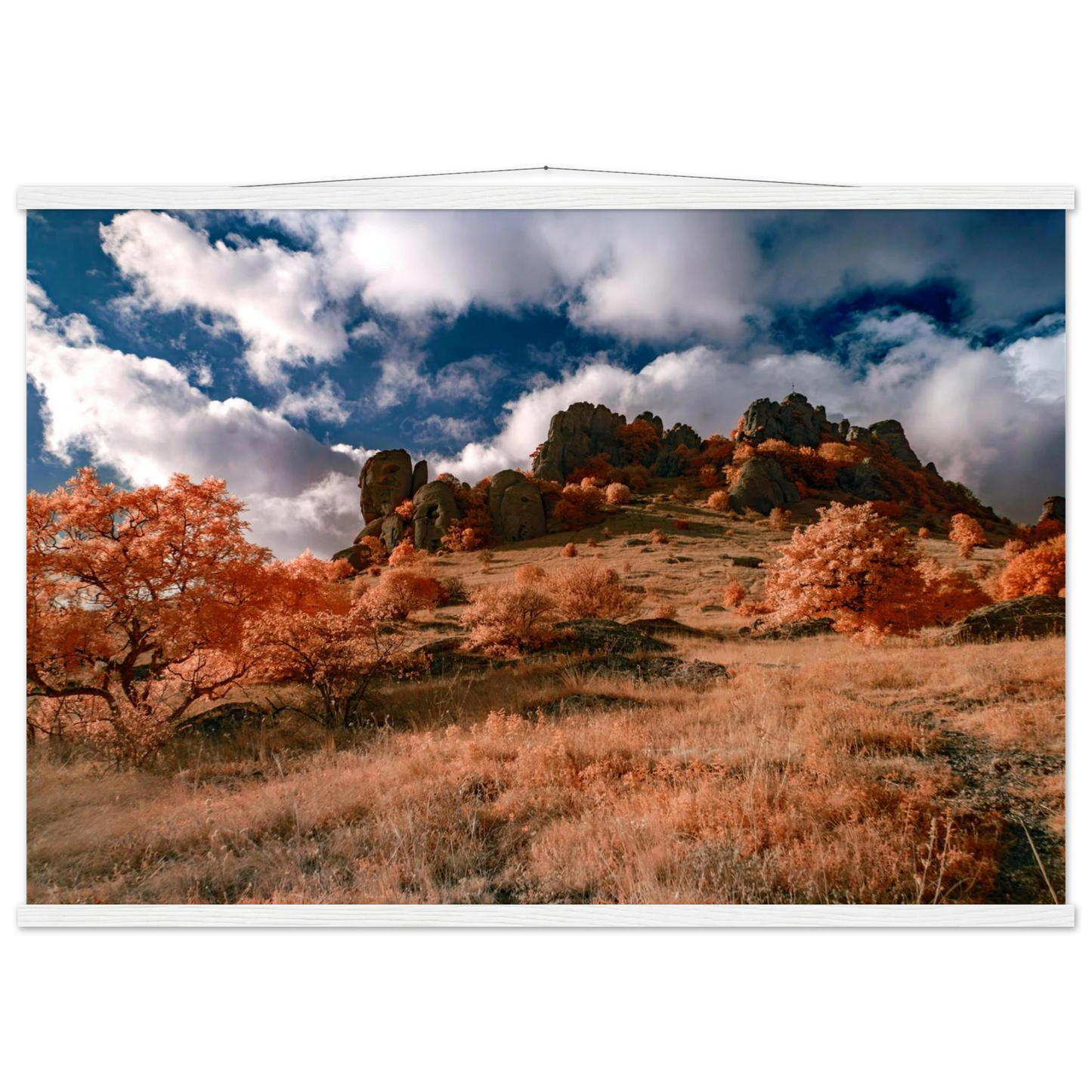 d7a38c0e-9873-4620-a48f-4f902d9932f4