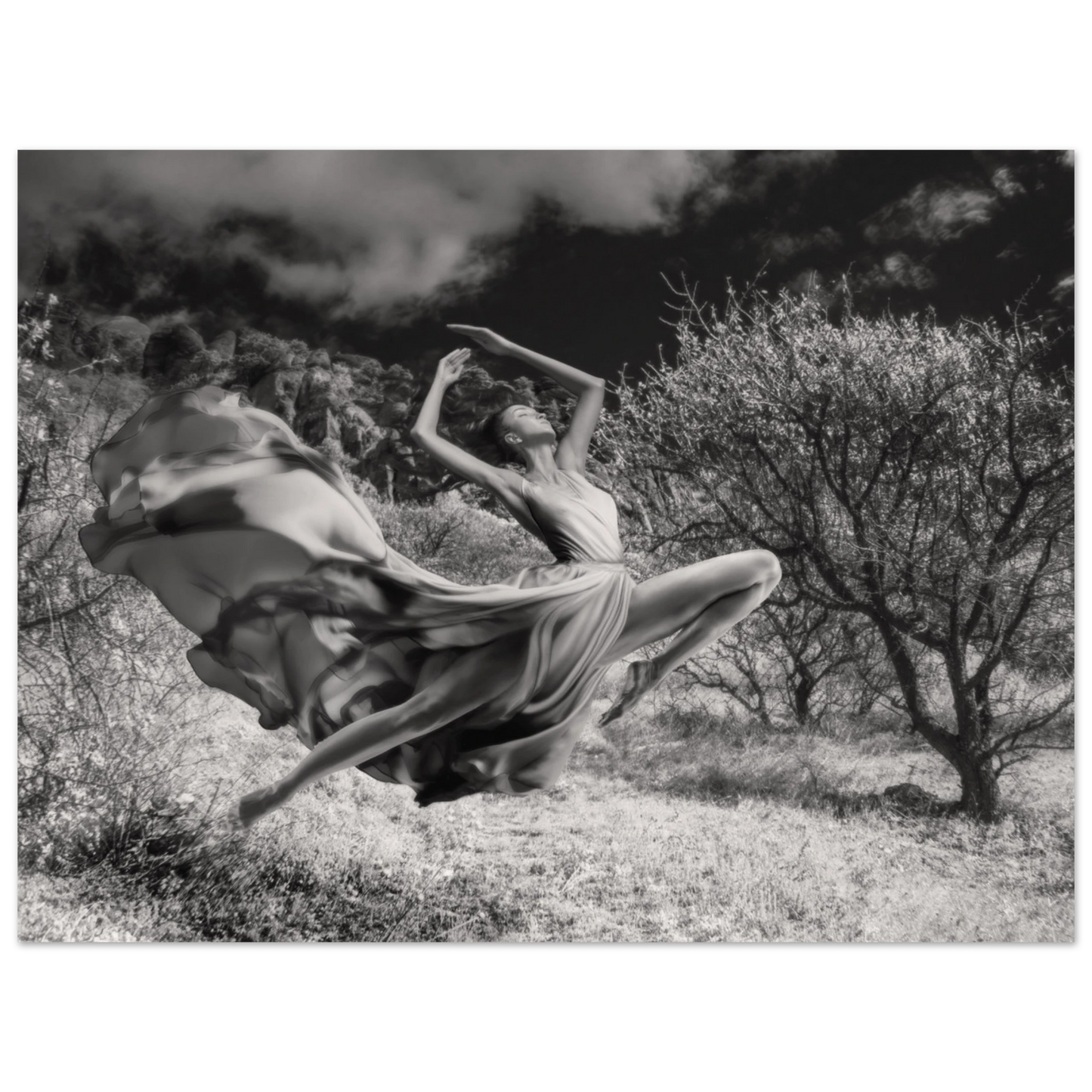 d7e5c891-f459-40a8-8bbc-20a9c2894edf