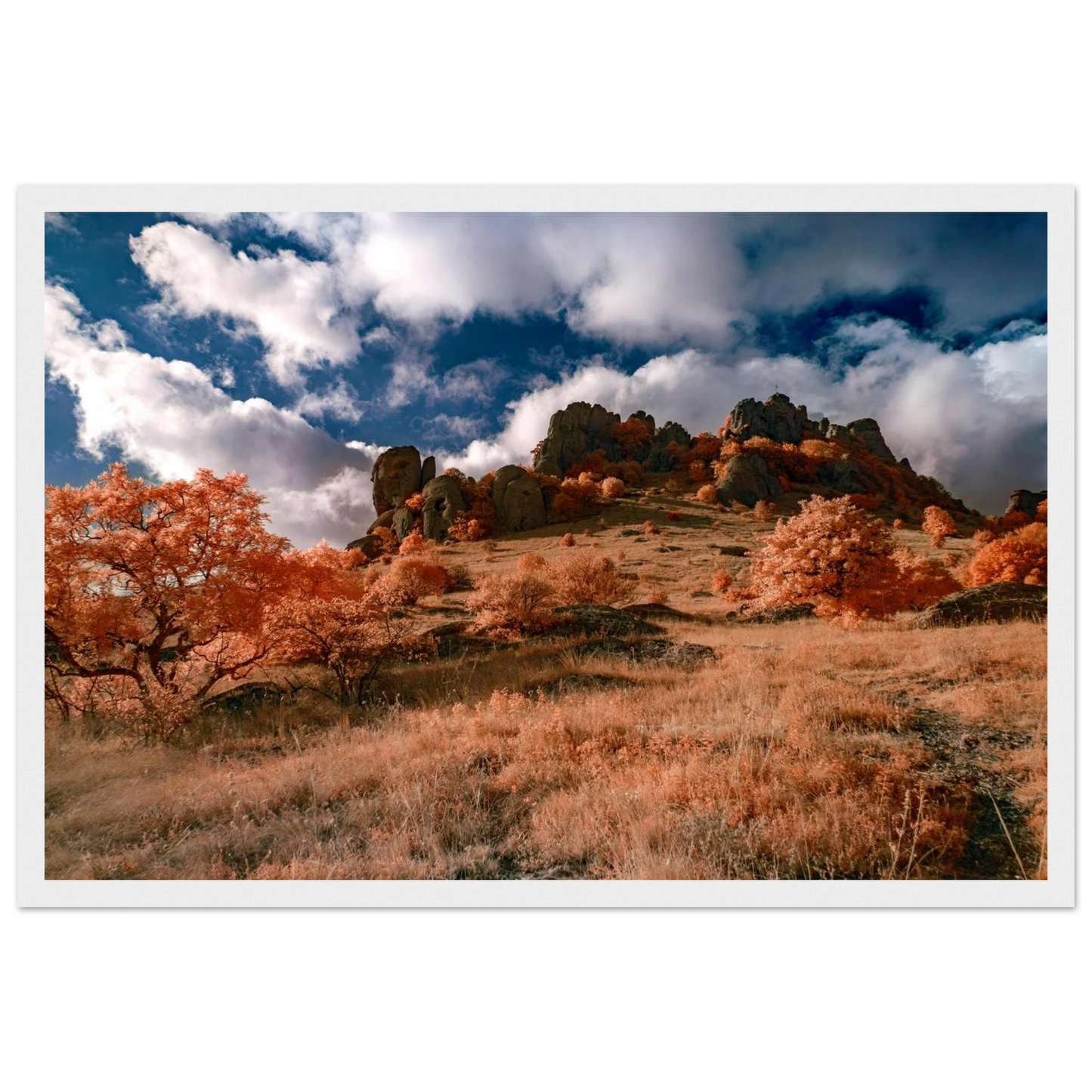 d8b4eae9-654d-41ad-8395-70be7345647e