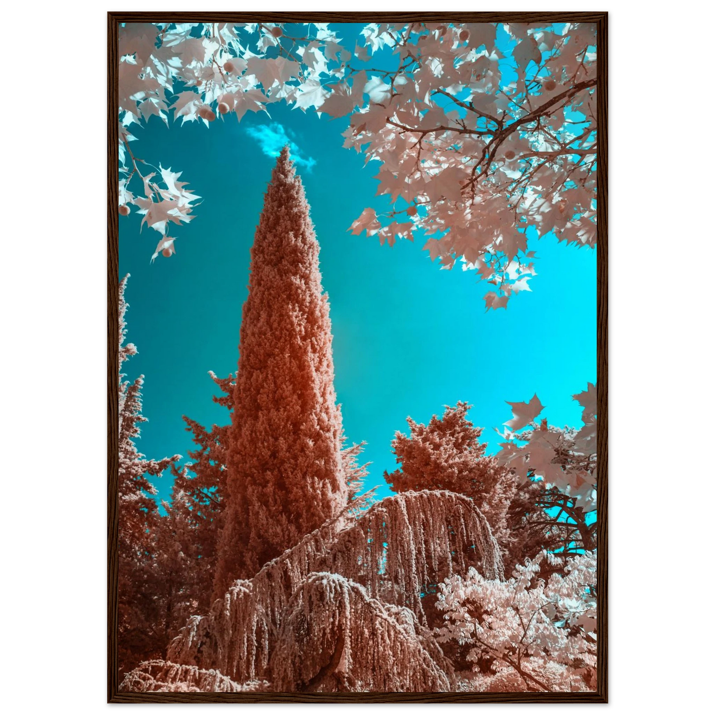 d8c2b3e8-0152-4bf9-bc8c-5247eb721b84