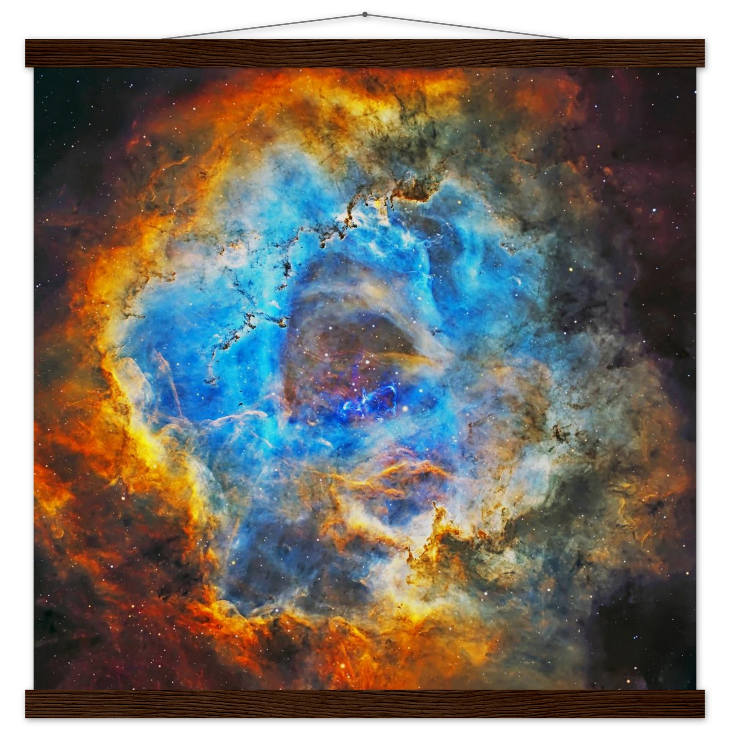 d8f51319-1301-4a8d-9487-ce72d46ac0b3