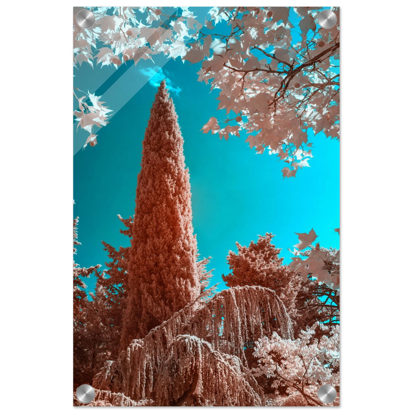 dae5d4a9-1e49-4049-a46b-9cbe0357a0d6