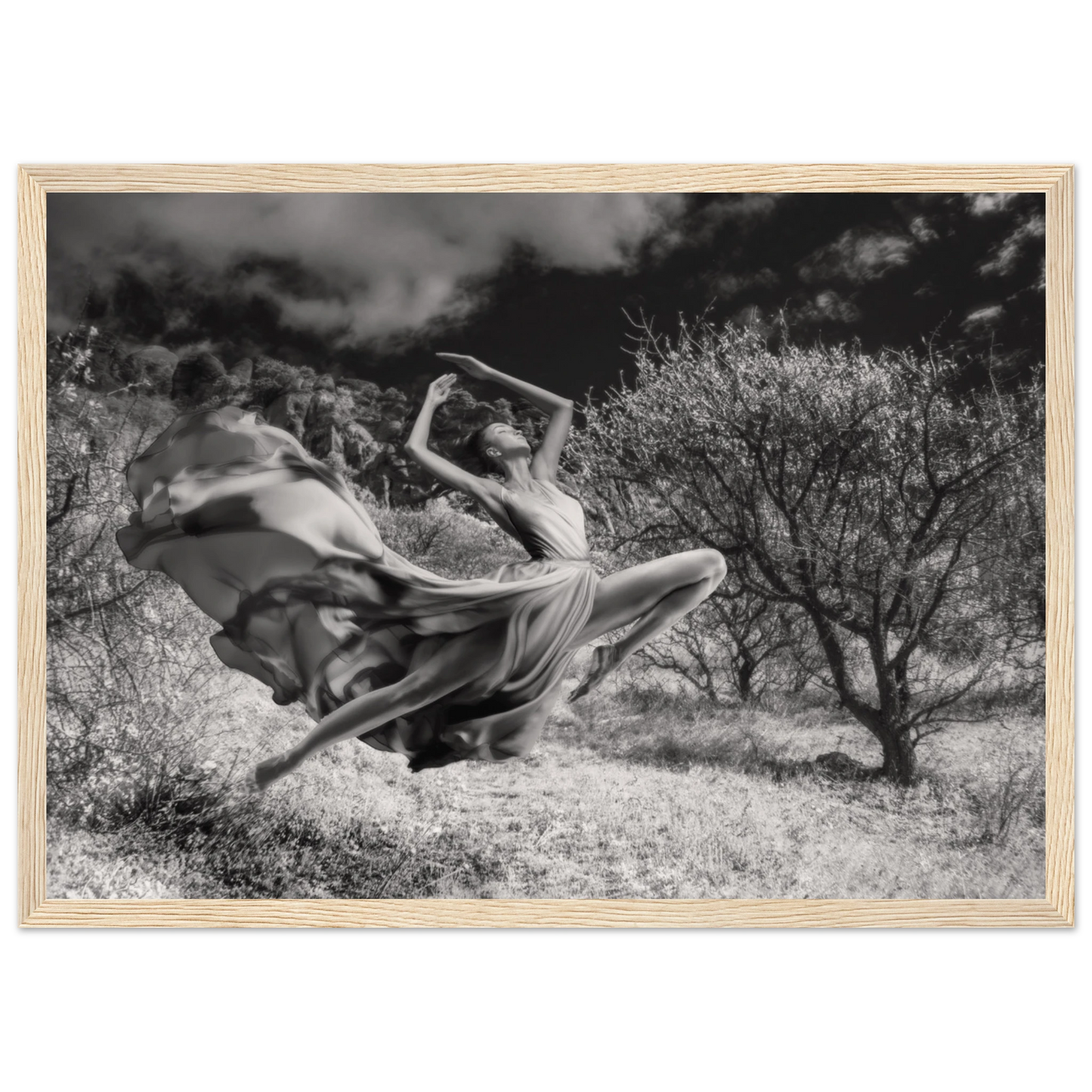 db33f3ad-637c-4d7e-9018-d3bec051d612