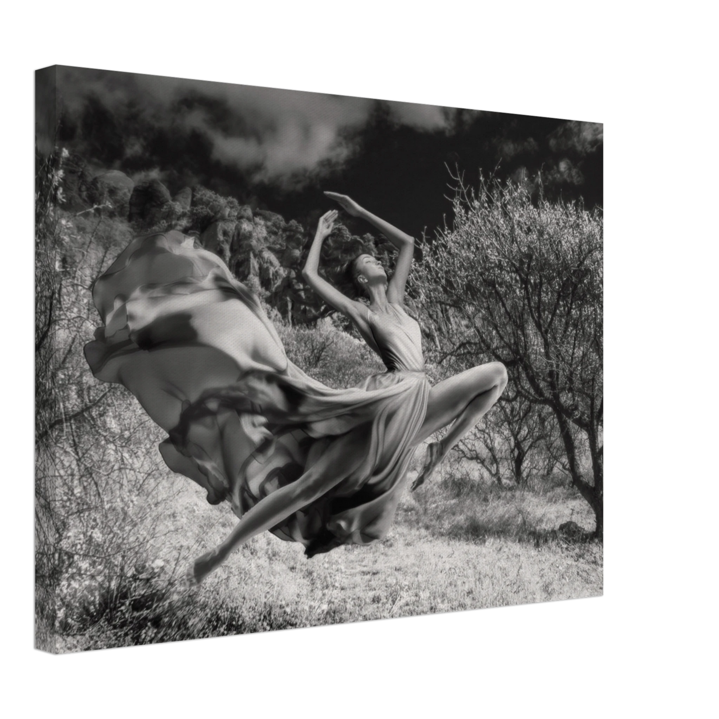 dc4e5e7e-1696-4fa0-bc85-4e52a62549d2