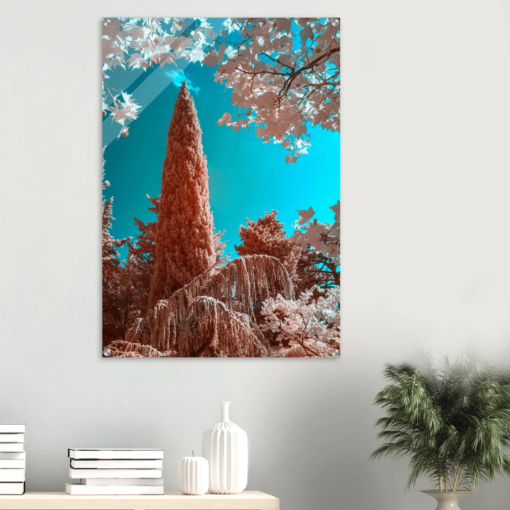 dc705095-3f70-4f21-8633-46b4341ec313