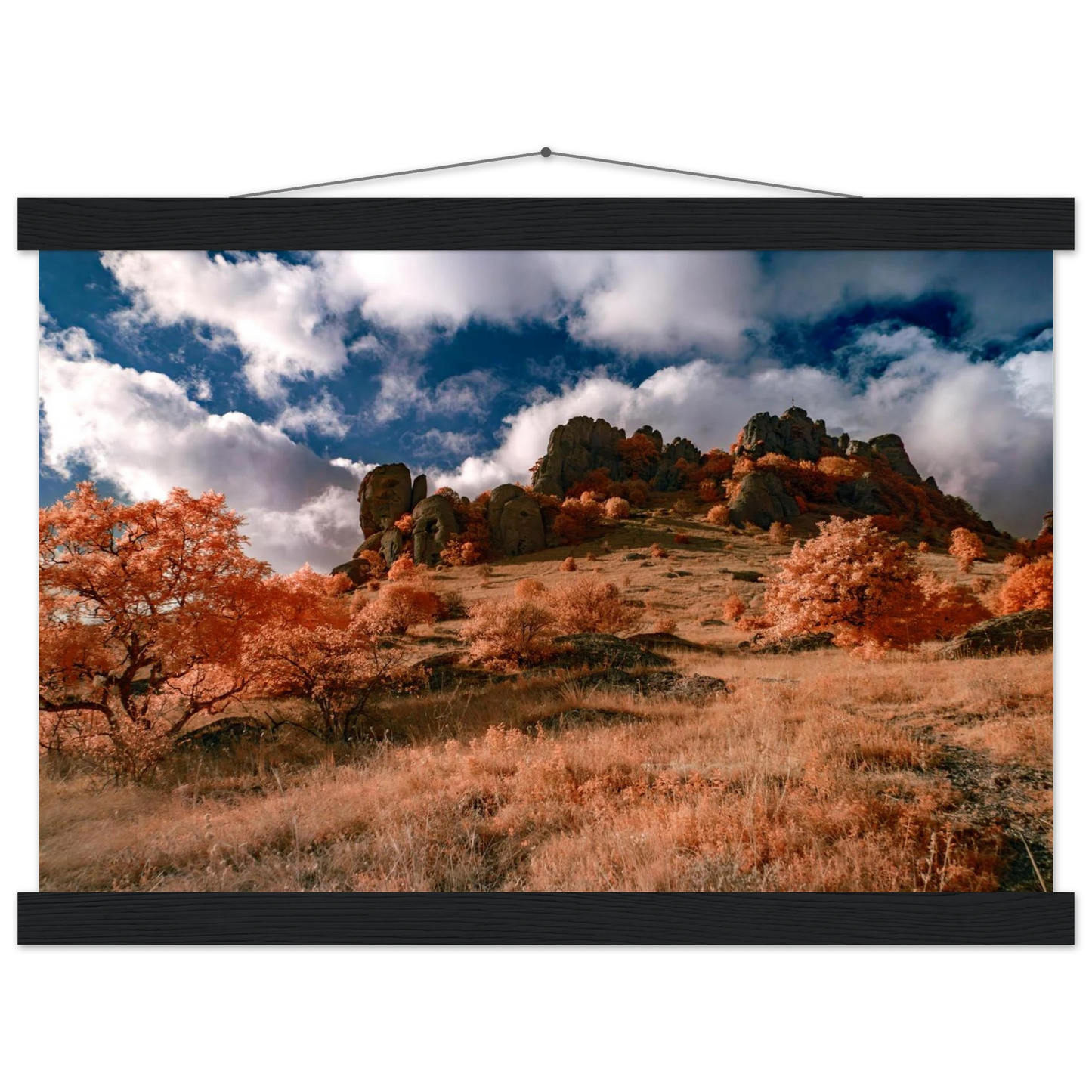 dc9acdc5-9245-483e-b0bc-0826ba8bfe45