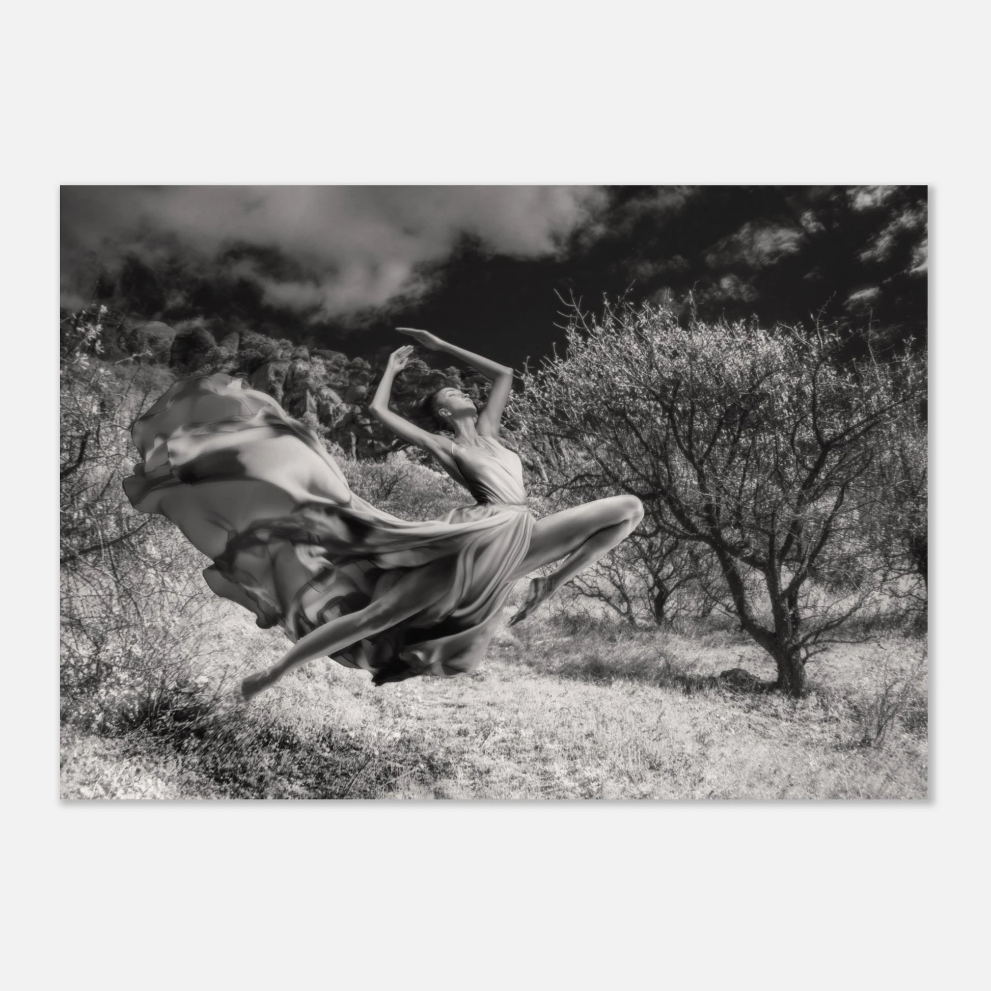 de791d21-a4a8-4738-83b4-92483e3b41c5