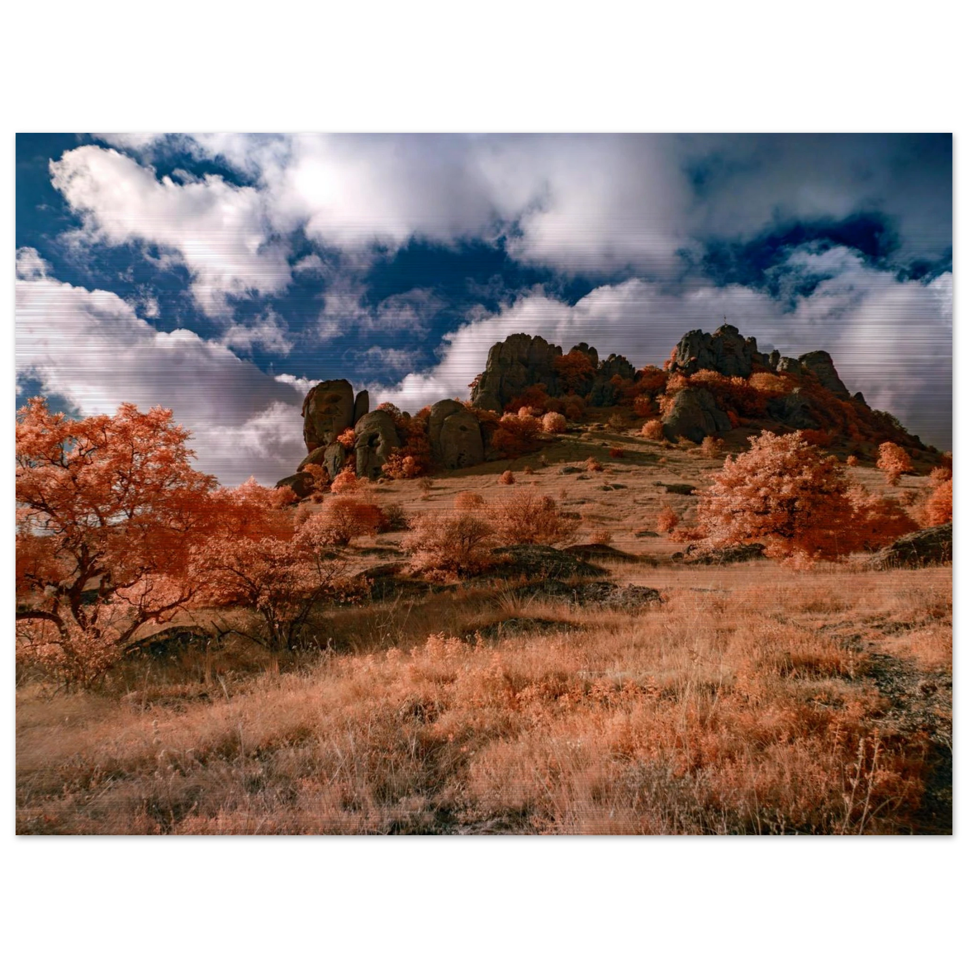 dfa62d50-55f1-494b-9459-1187eda2cff2