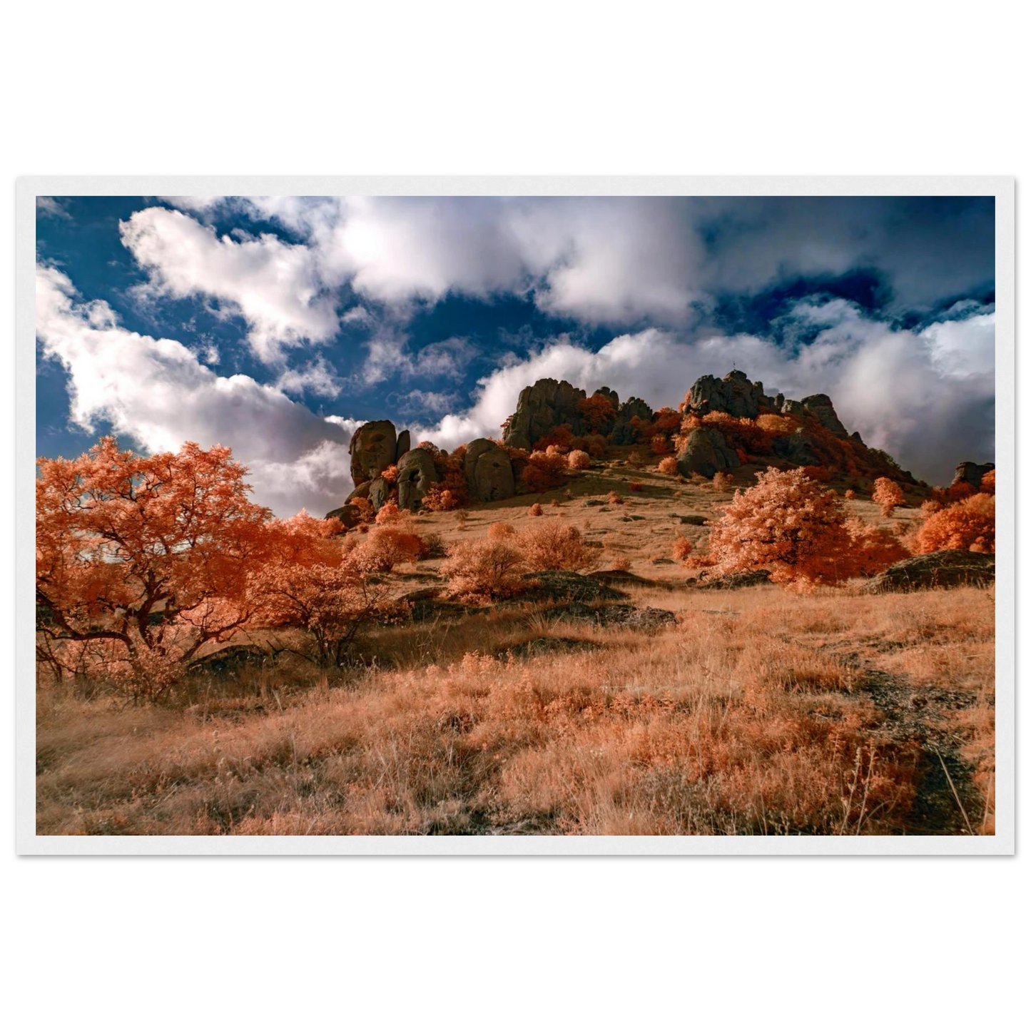 e0ae810a-aa8e-49ad-ac11-a09b334e7eab