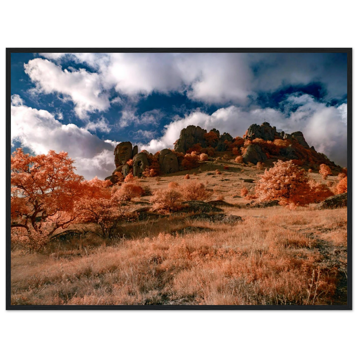 e1ebcff1-c738-4ea4-b0f6-a32fbfdda1f3