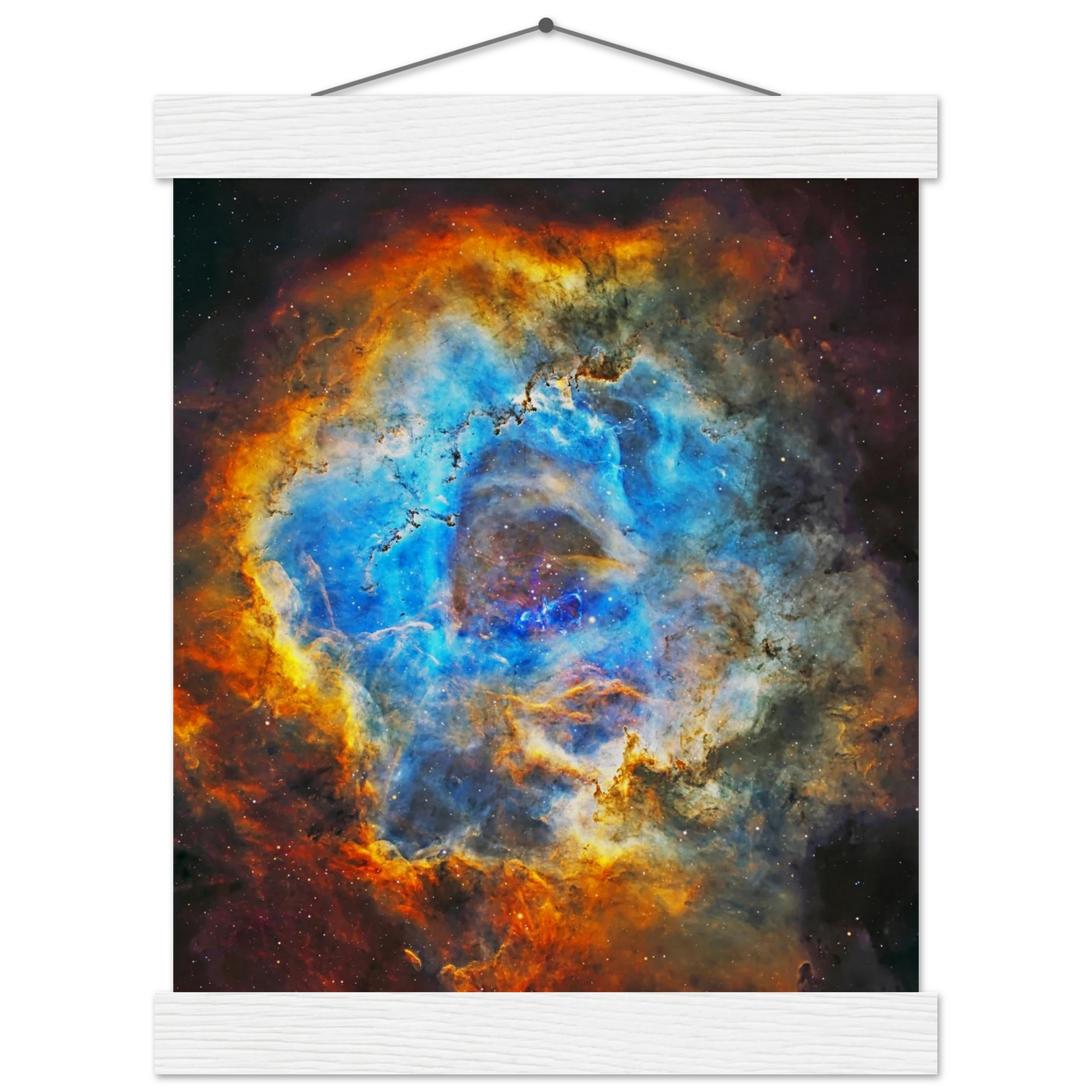 e5569a19-1943-4d06-9611-28bc921983b0