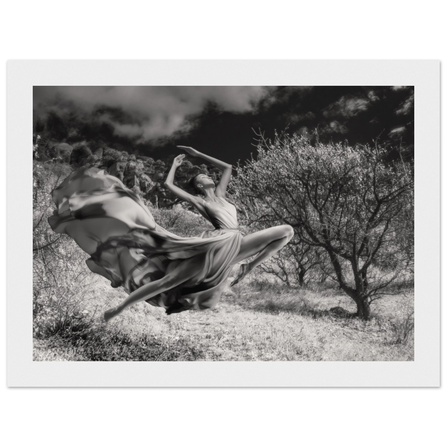 e55a7dfc-4822-45e1-966f-6845b43d3569