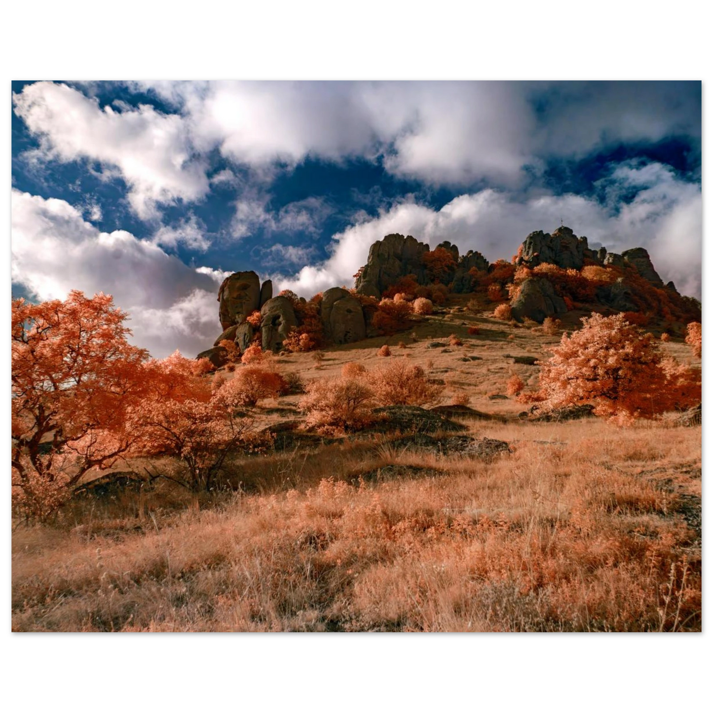 e88d274d-28eb-43f3-8c60-1c1d1bd0b6f0