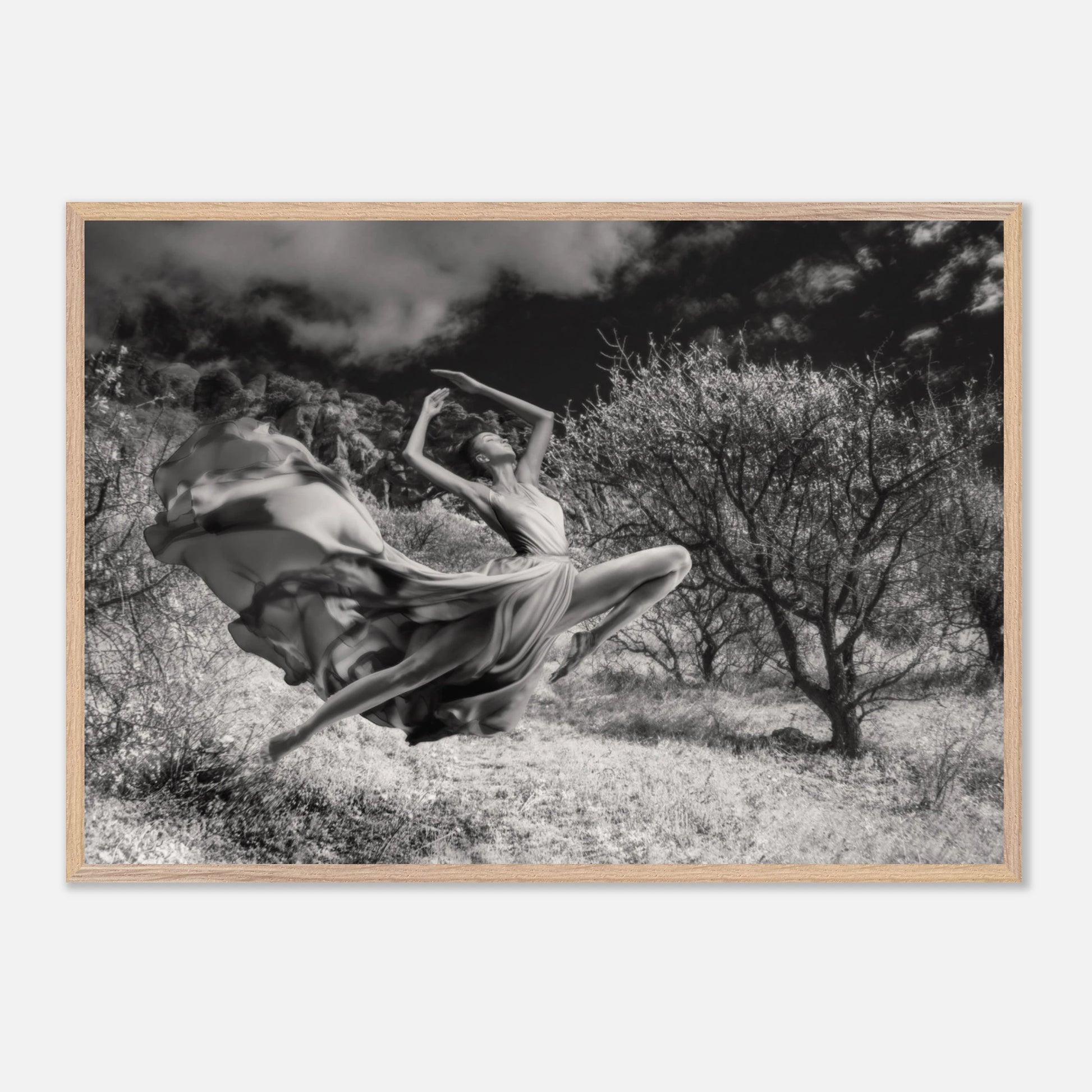 e9ae0c8a-5405-4607-a406-9df36a3d292b